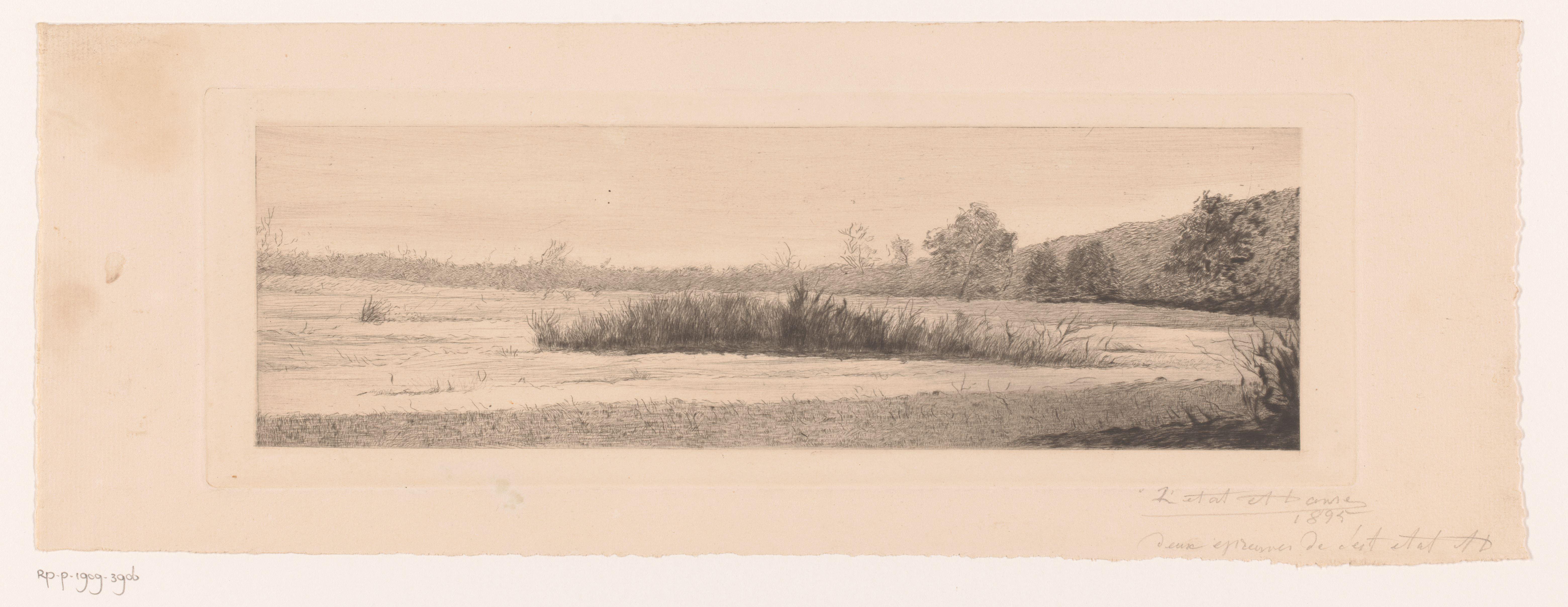 Landschap met een rietkraag in een meer