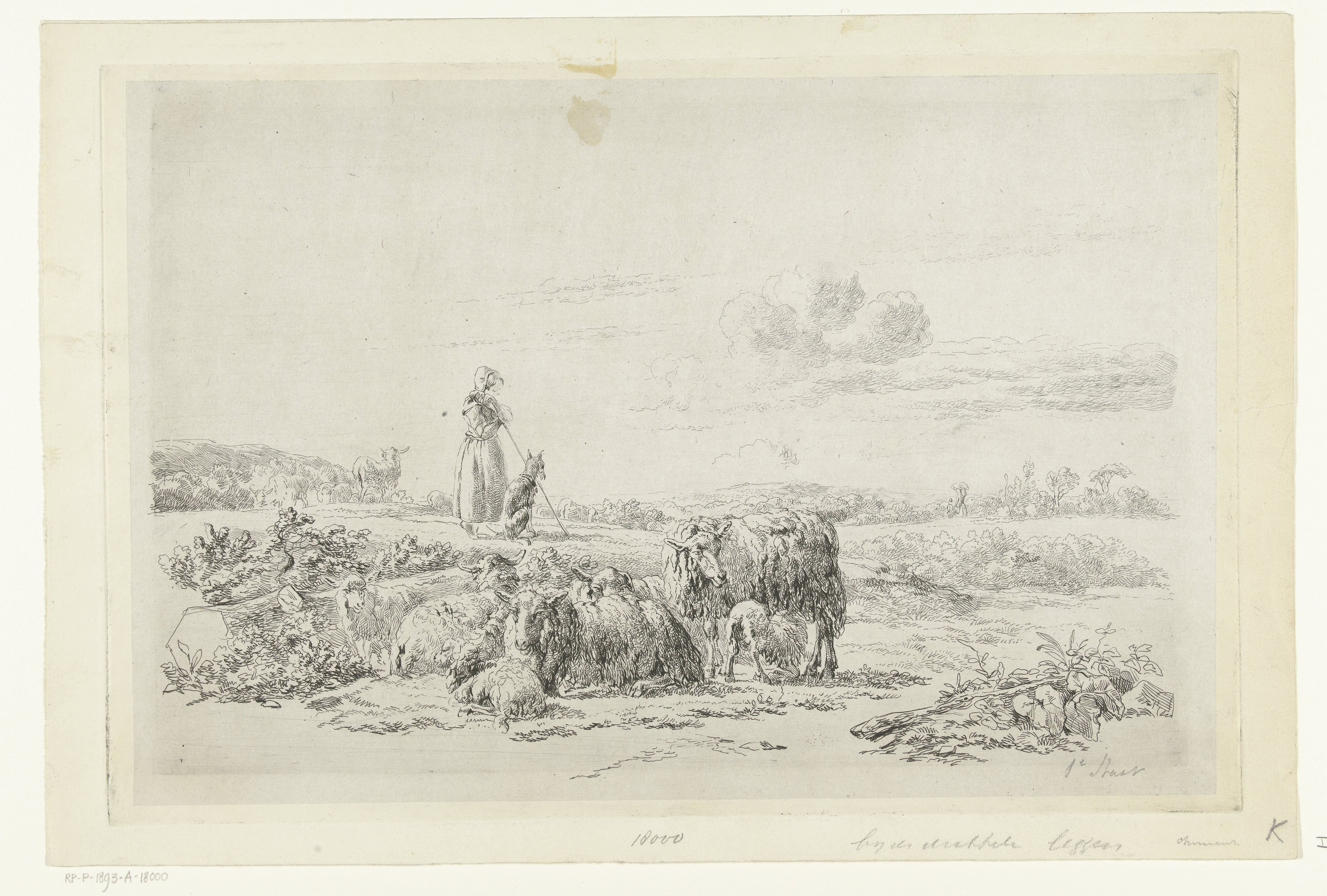 Landschap met herderin en hond bij kudde schapen