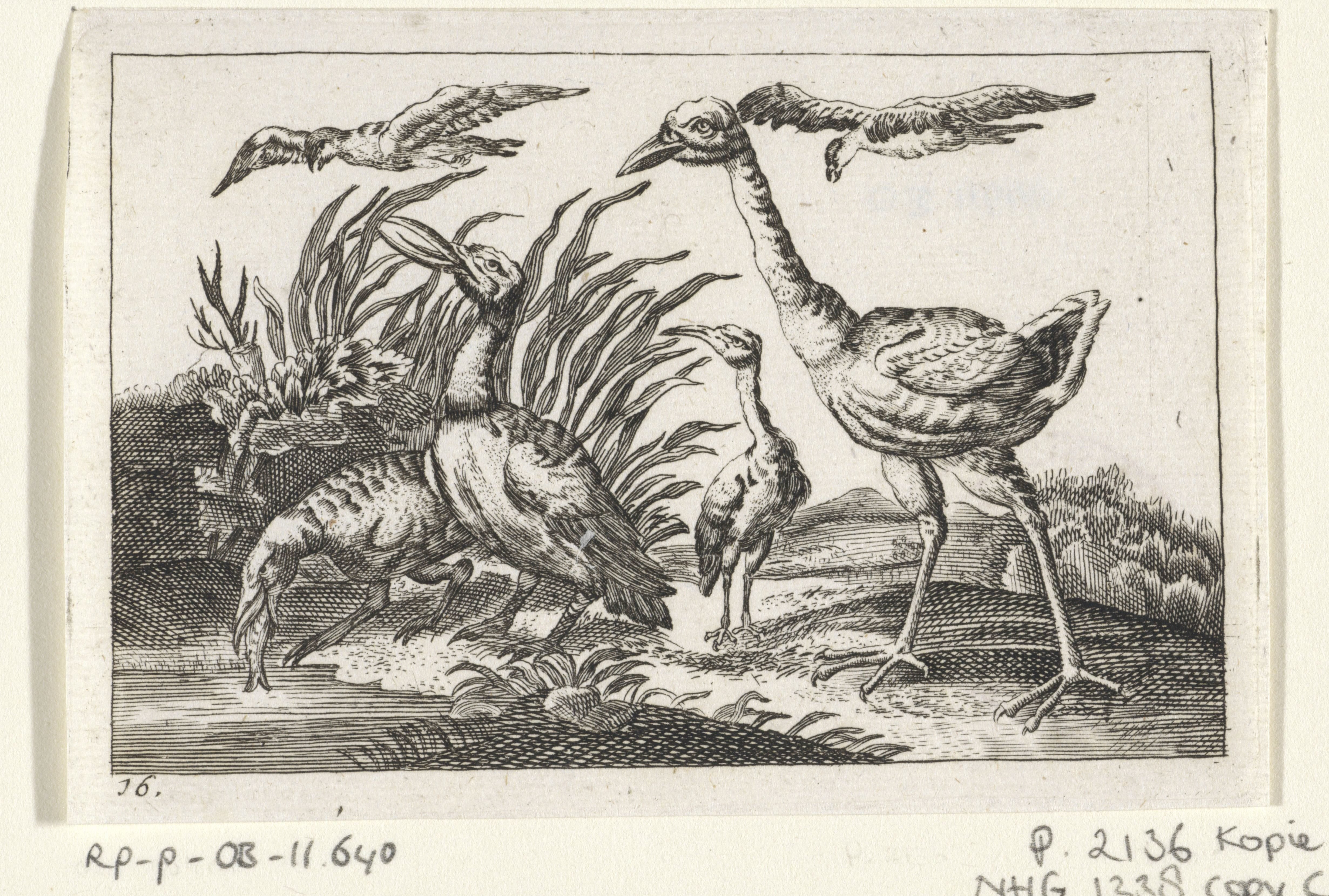Watervogels