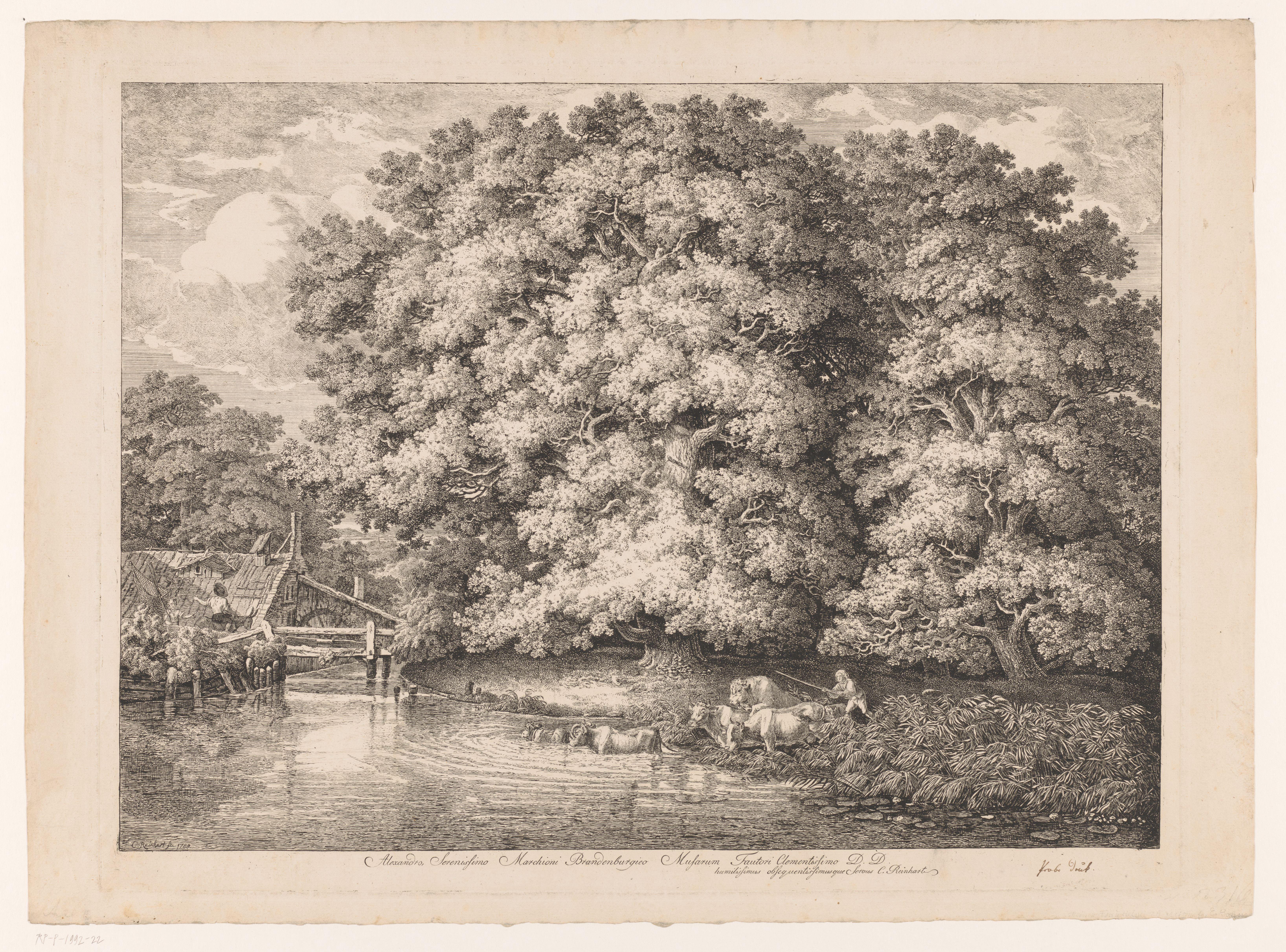 Watermolen bij een grote eik