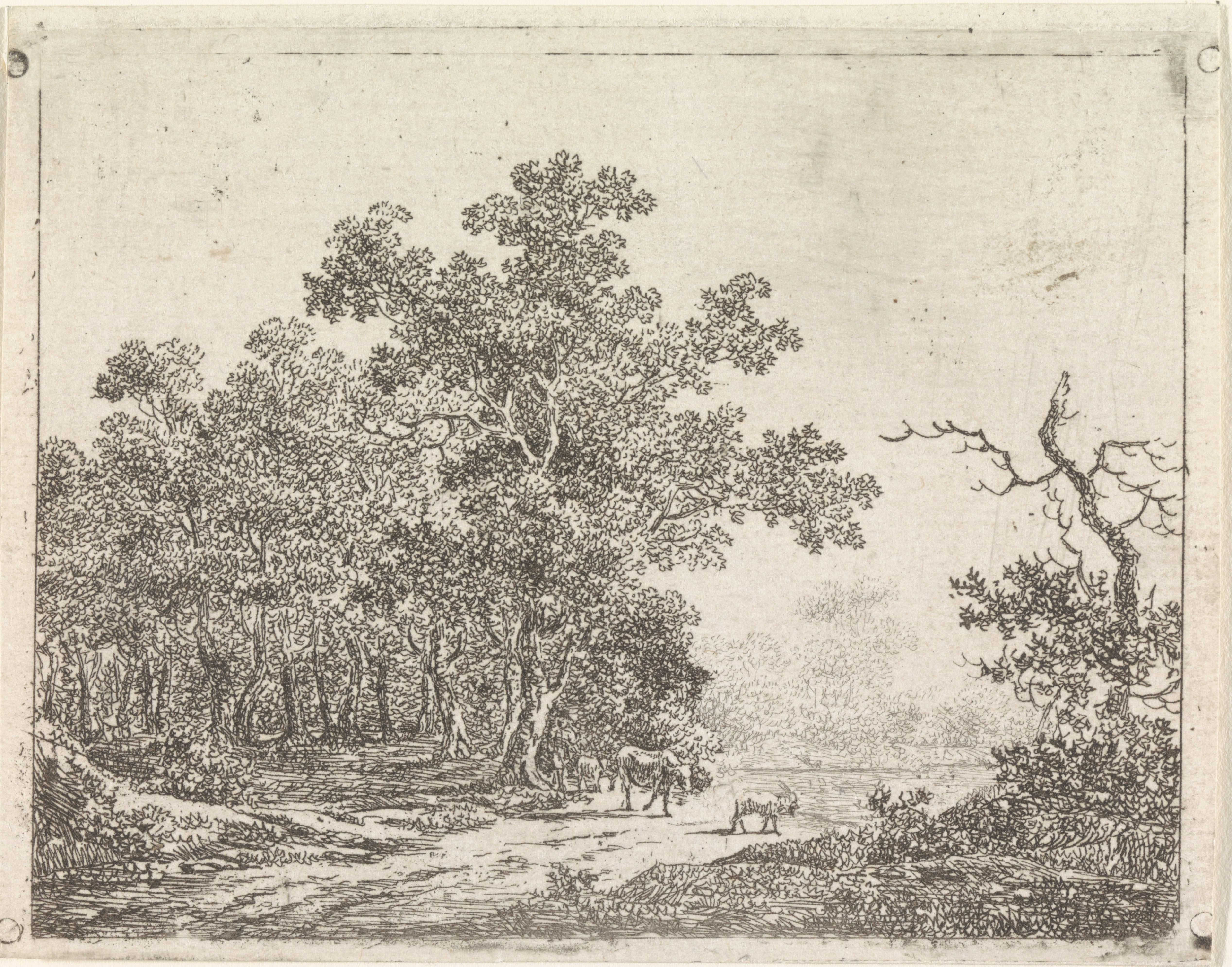 Landschap met eik en vee