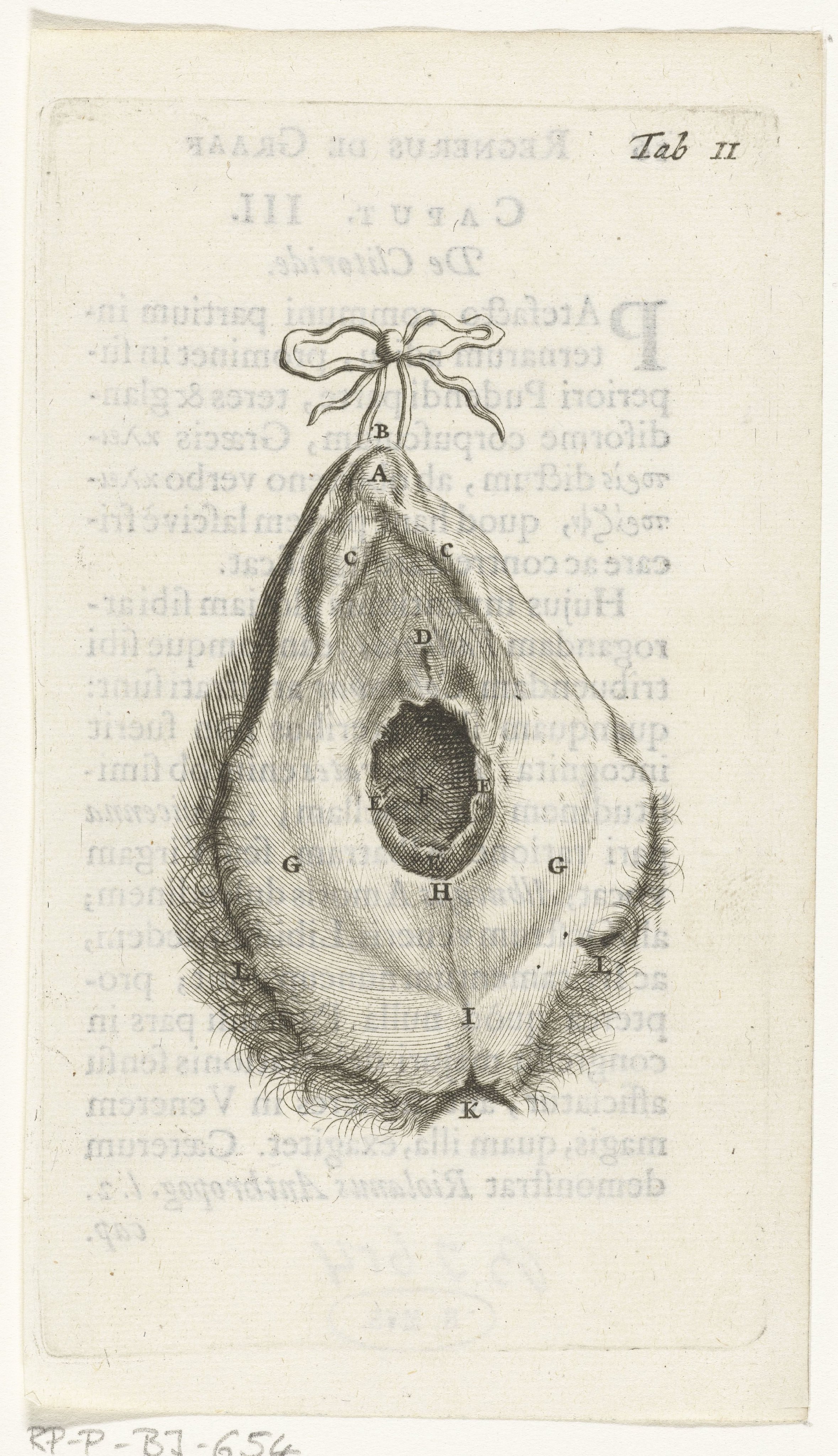 Prenten van de vrouwelijke organen