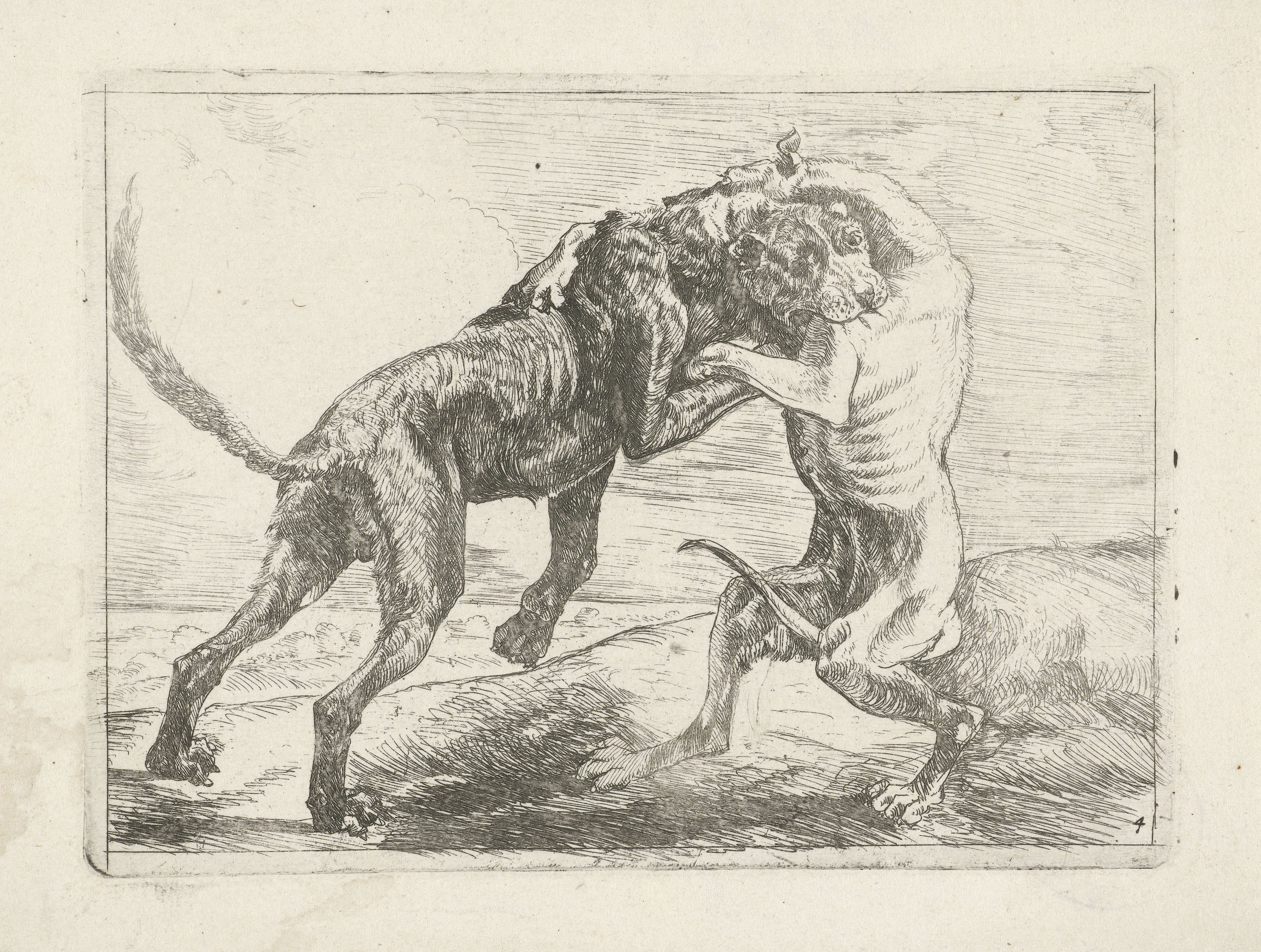 Twee vechtende honden