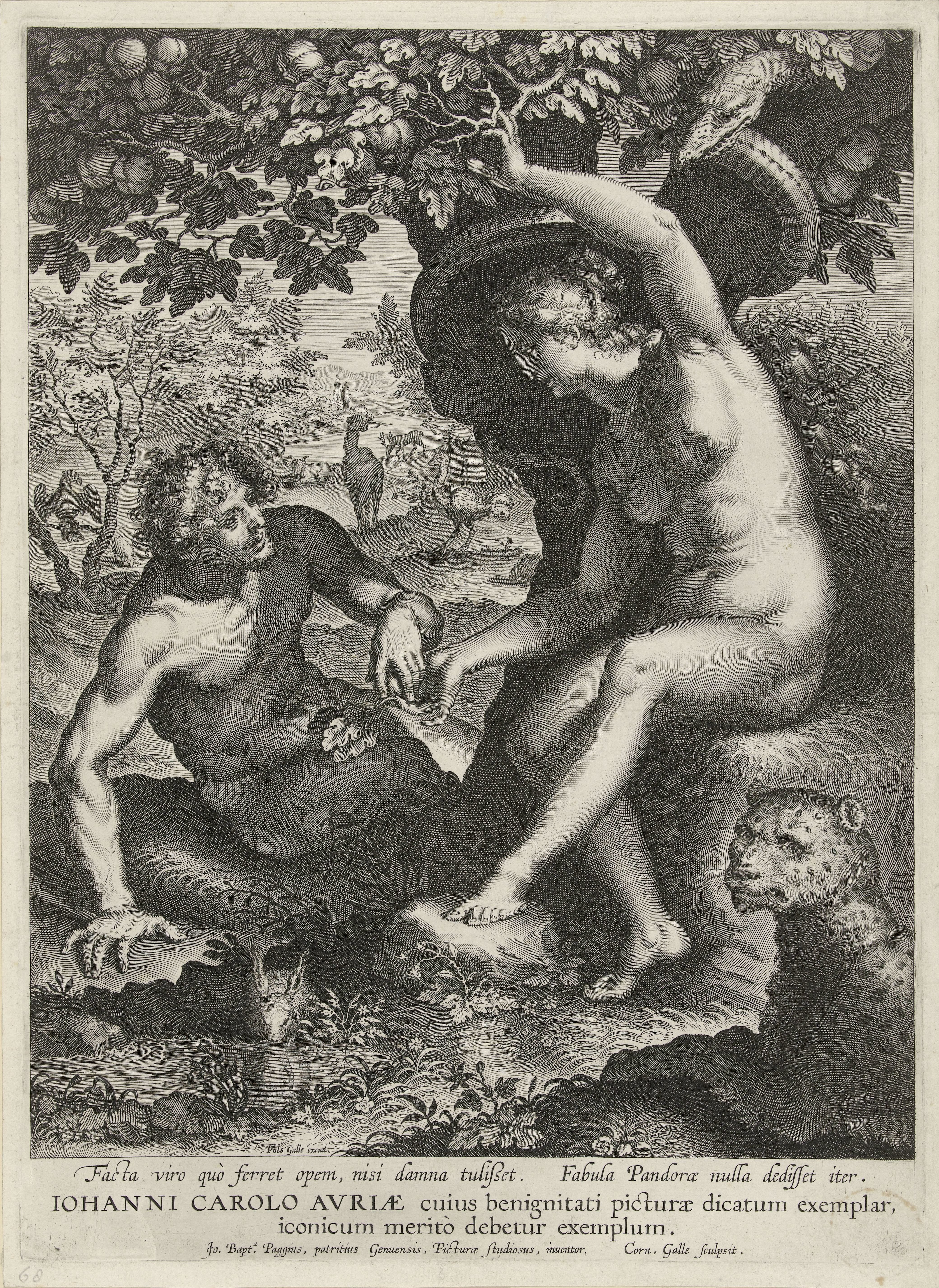 Cornelis Galle (I)