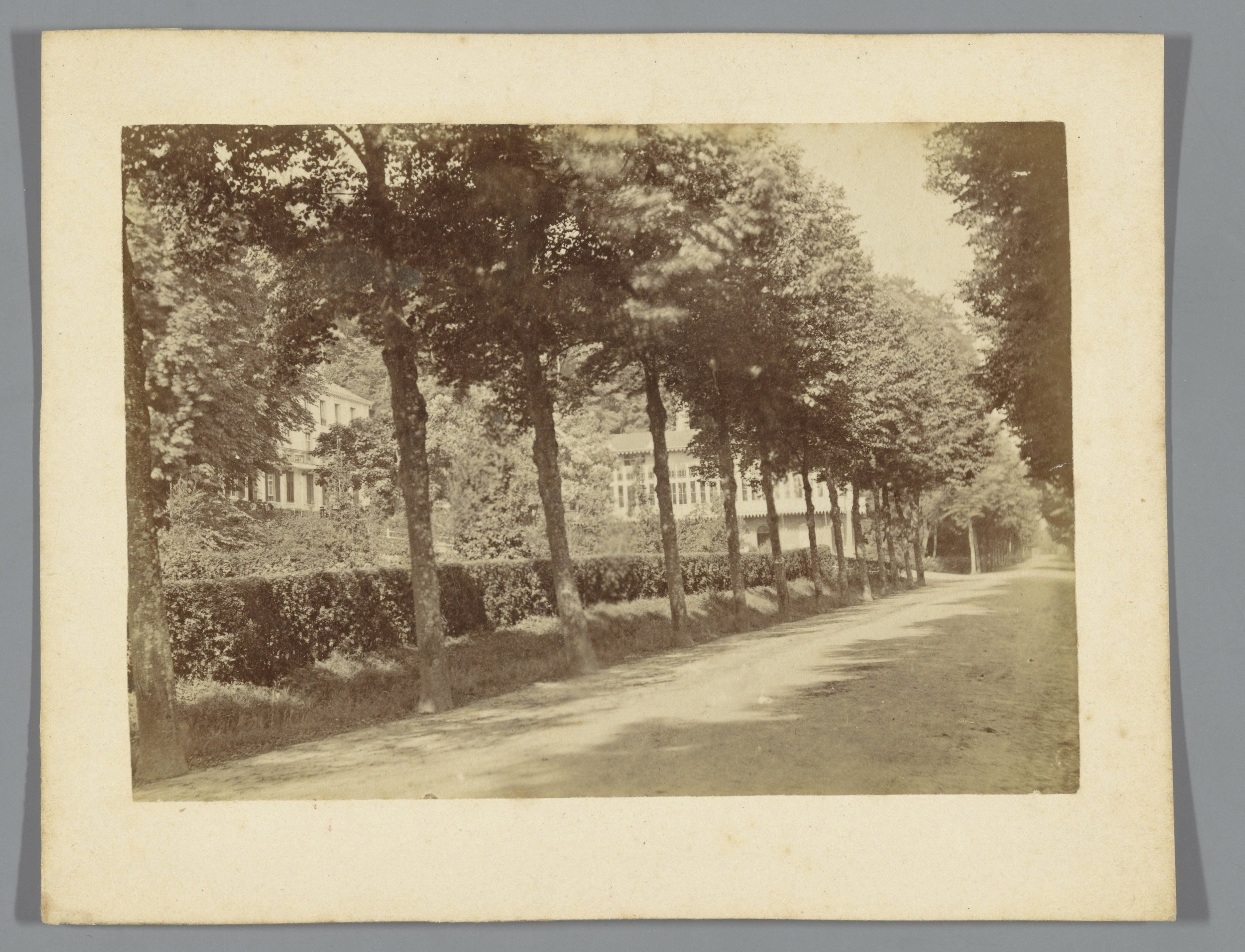 Weg met bomen nabij Kleef