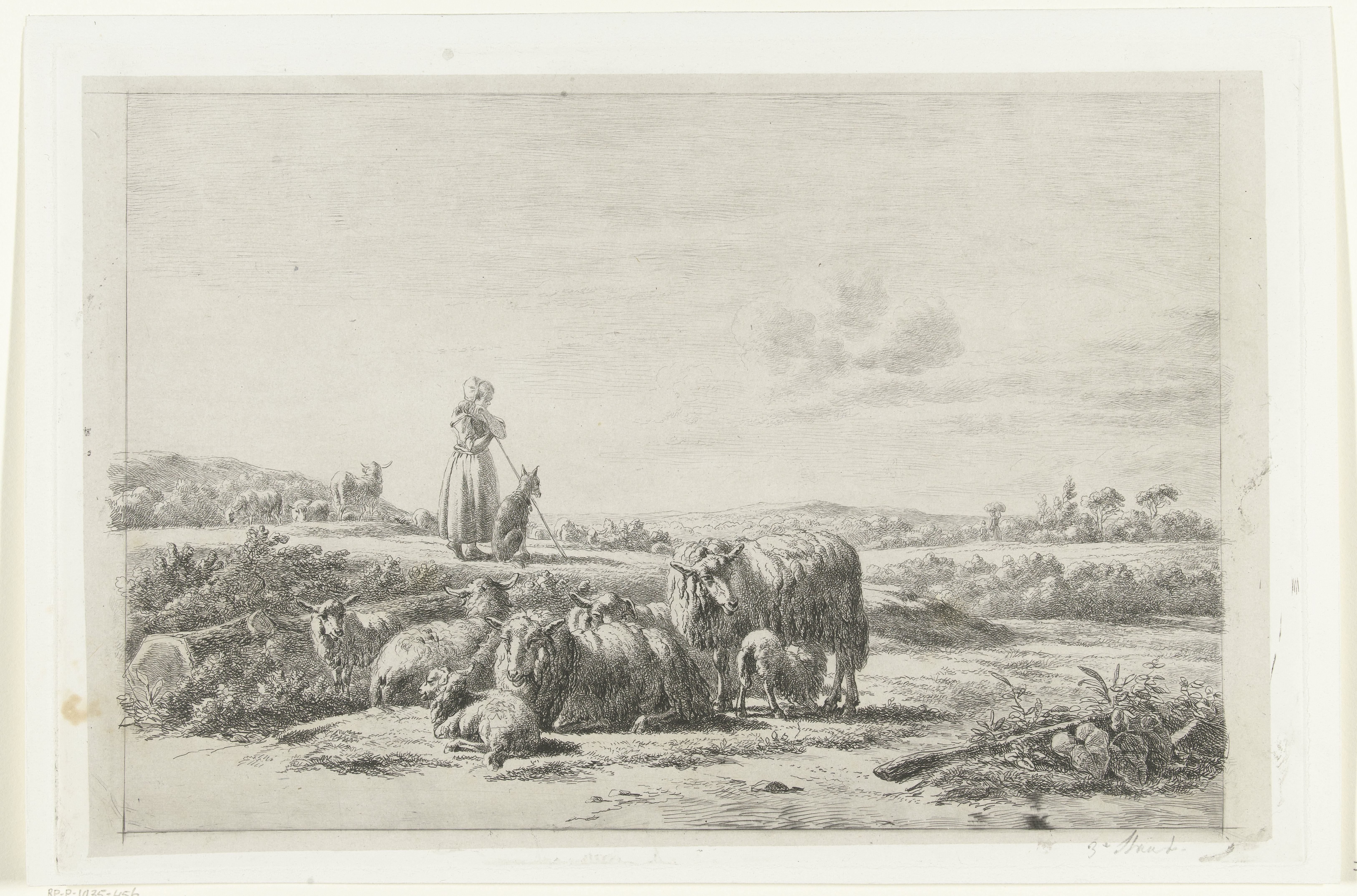 Landschap met herderin en hond bij kudde schapen