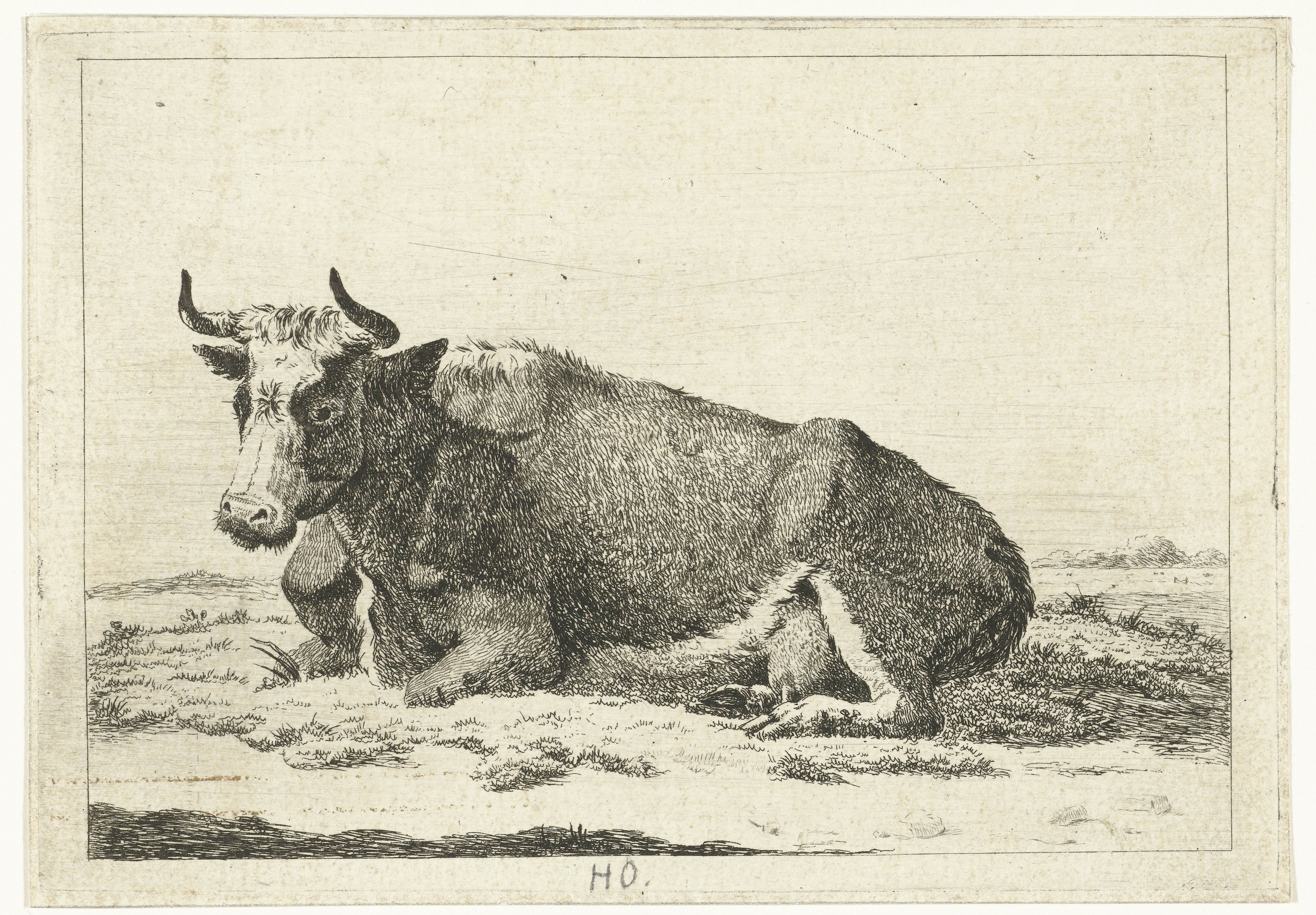 Landschap met liggende koe met horens