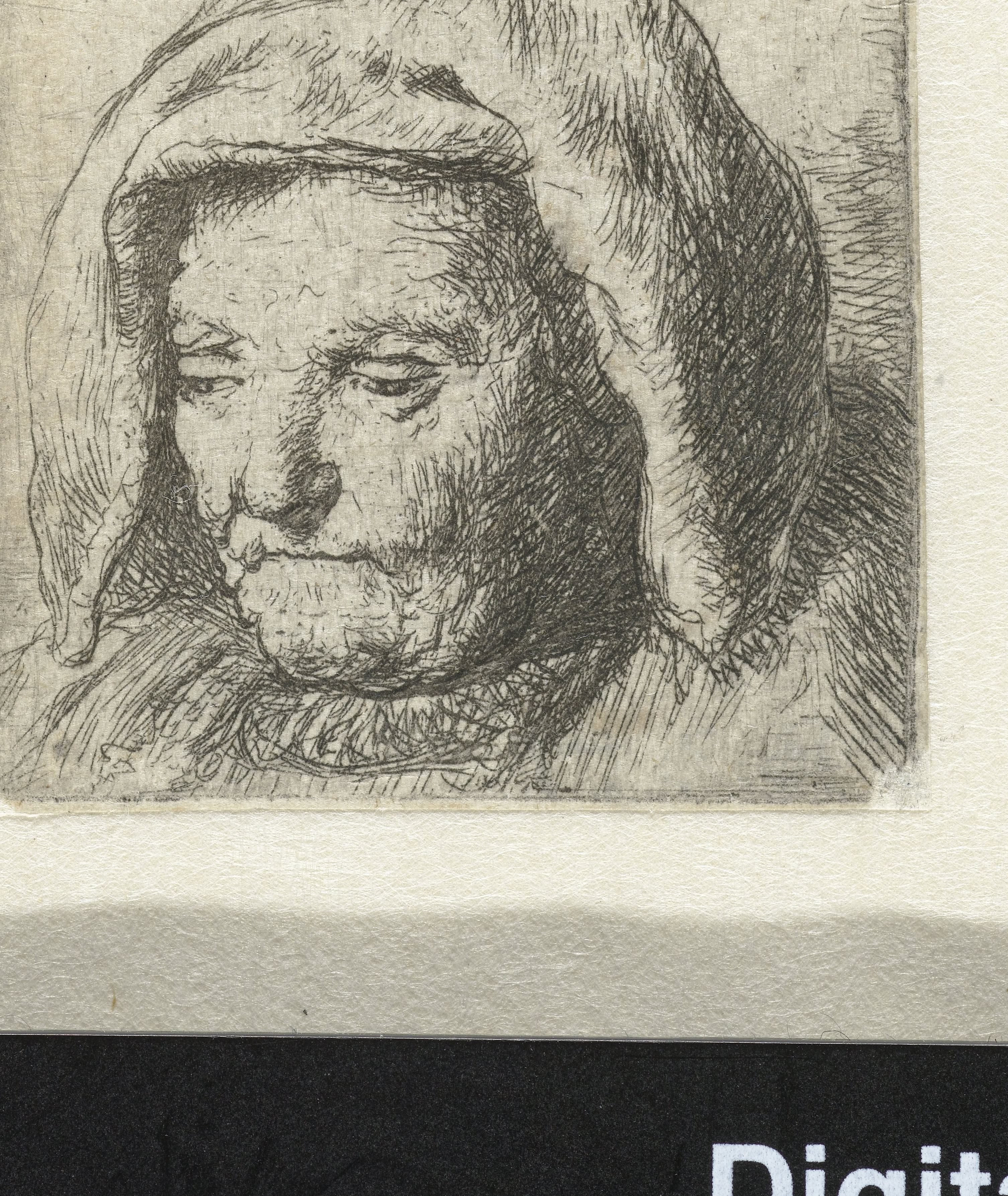 The artist's mother in a cloth headdress, looking down: head only