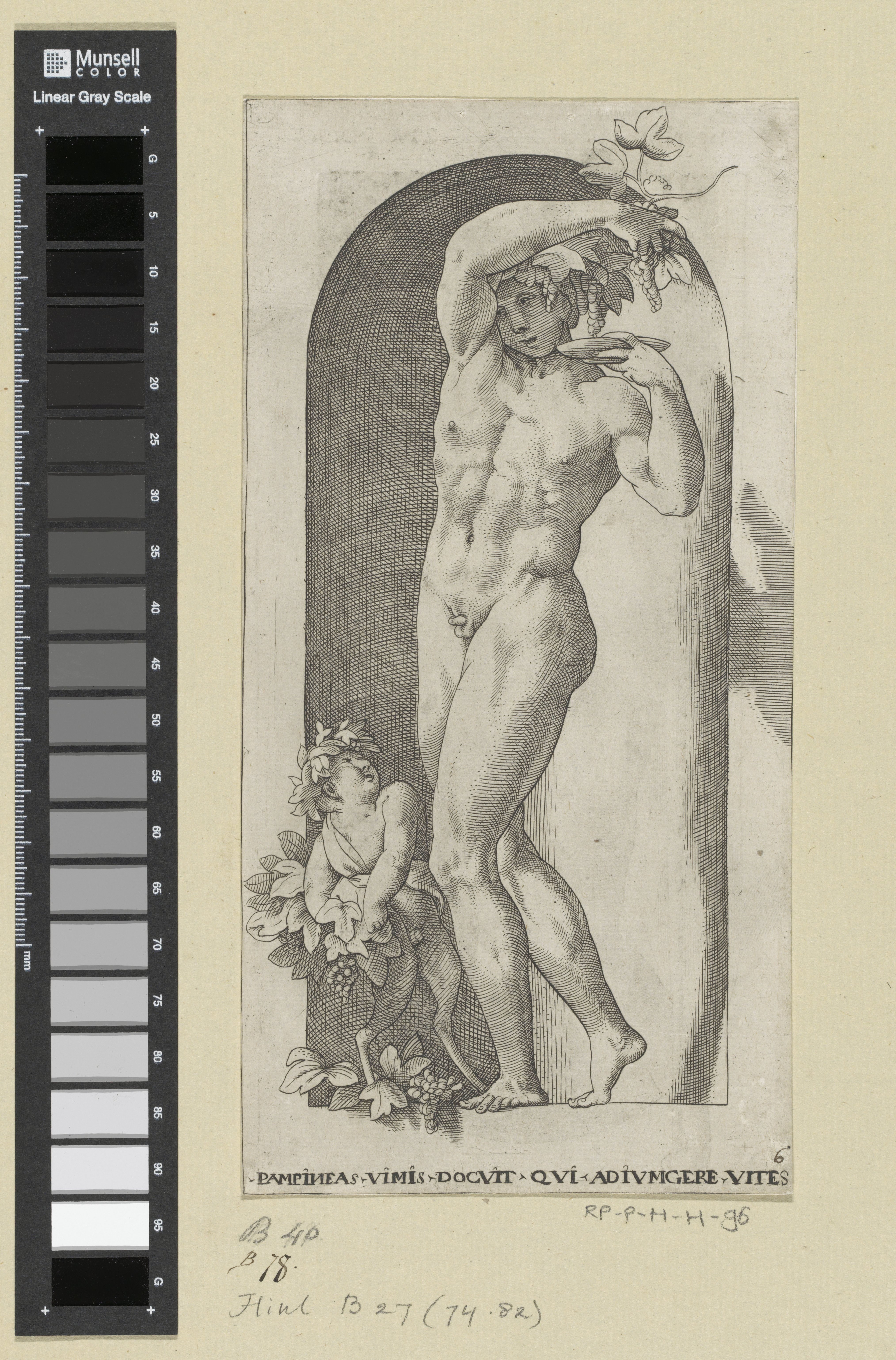 Bacchus