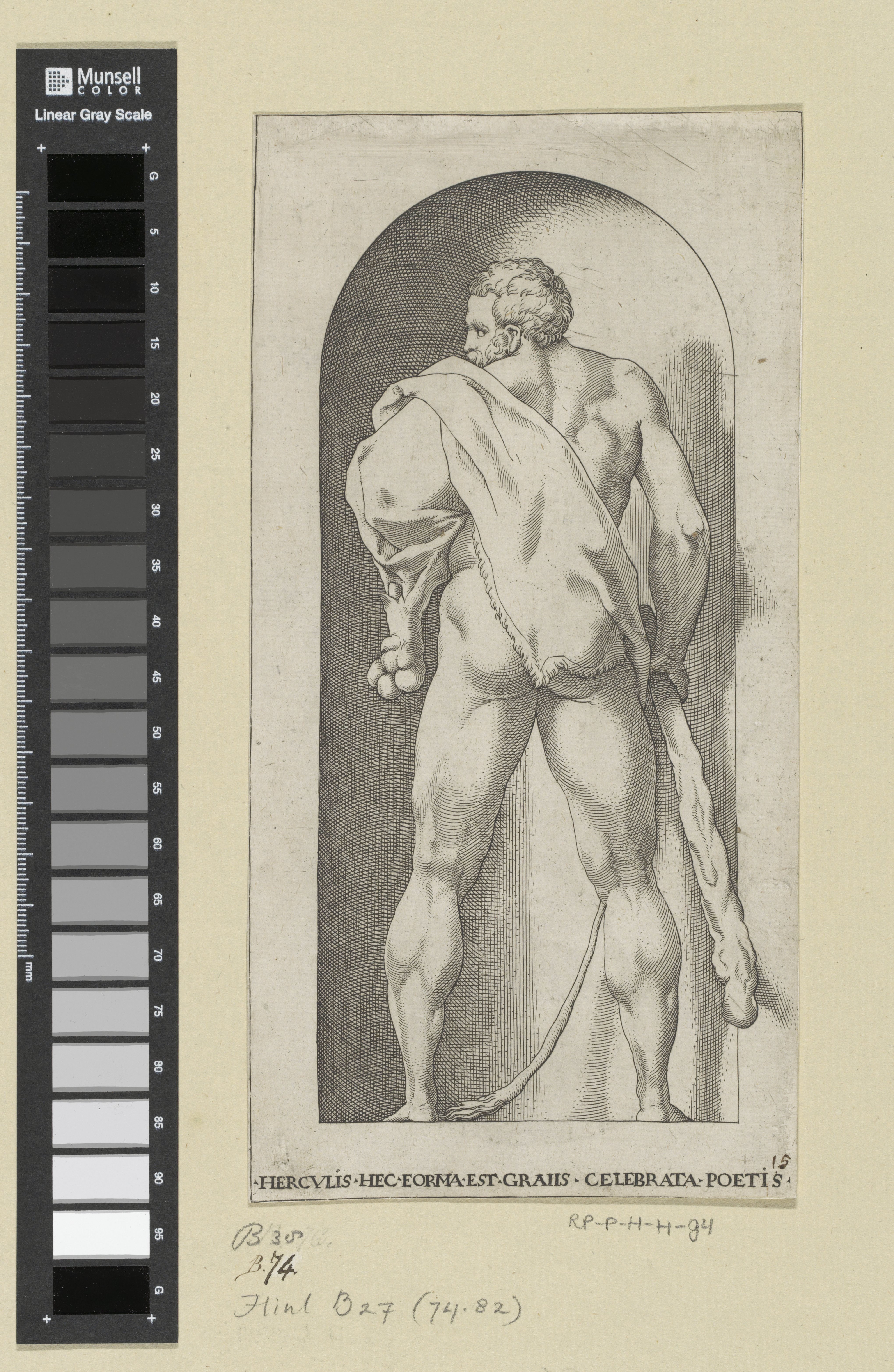 Hercules