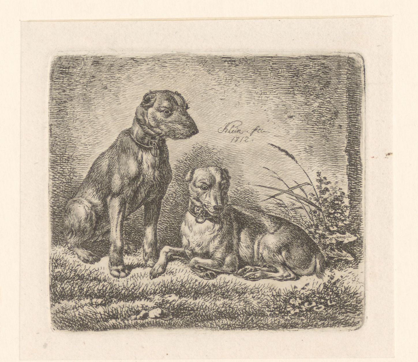 Twee zittende honden