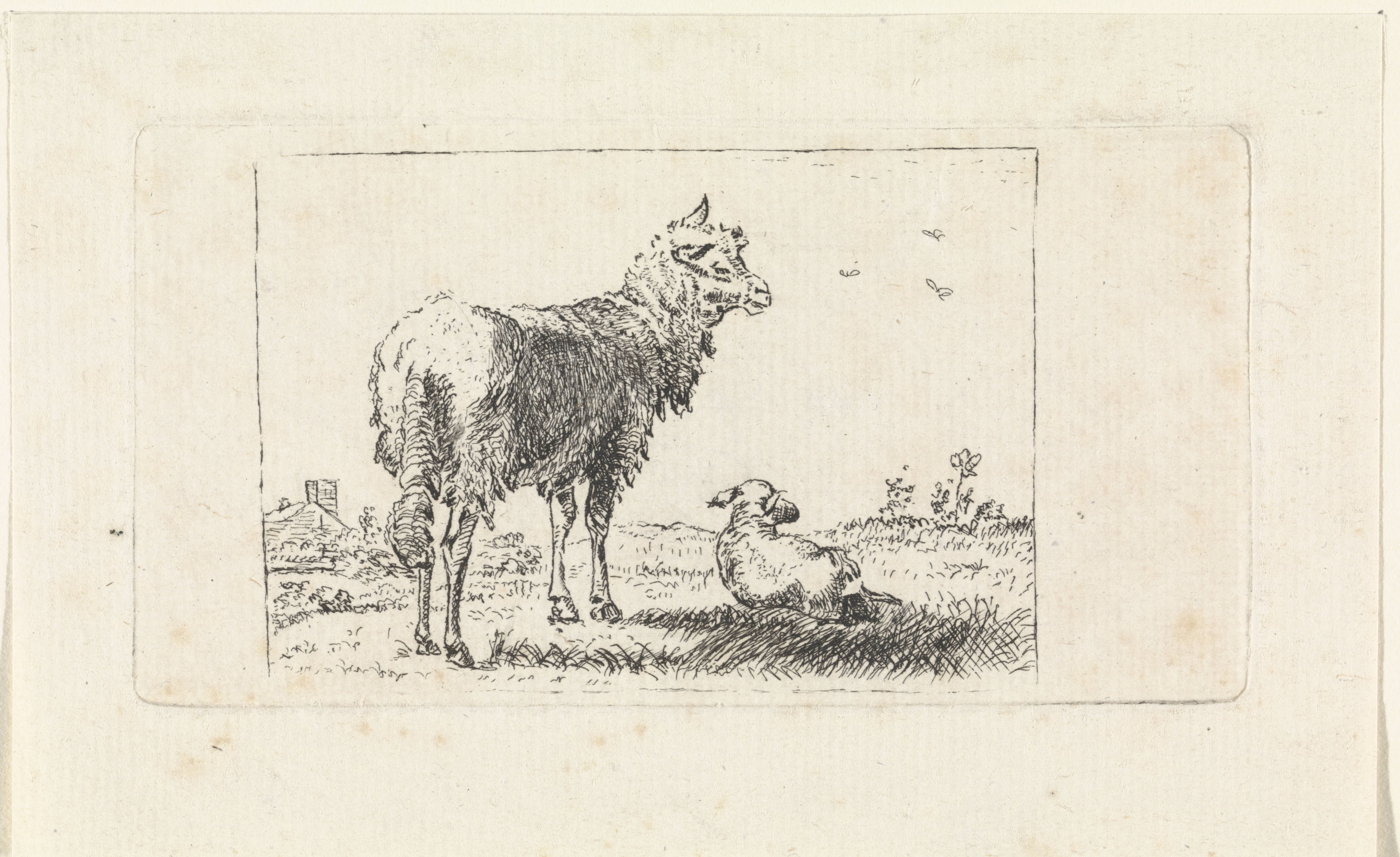 Landschap met schaap en lam