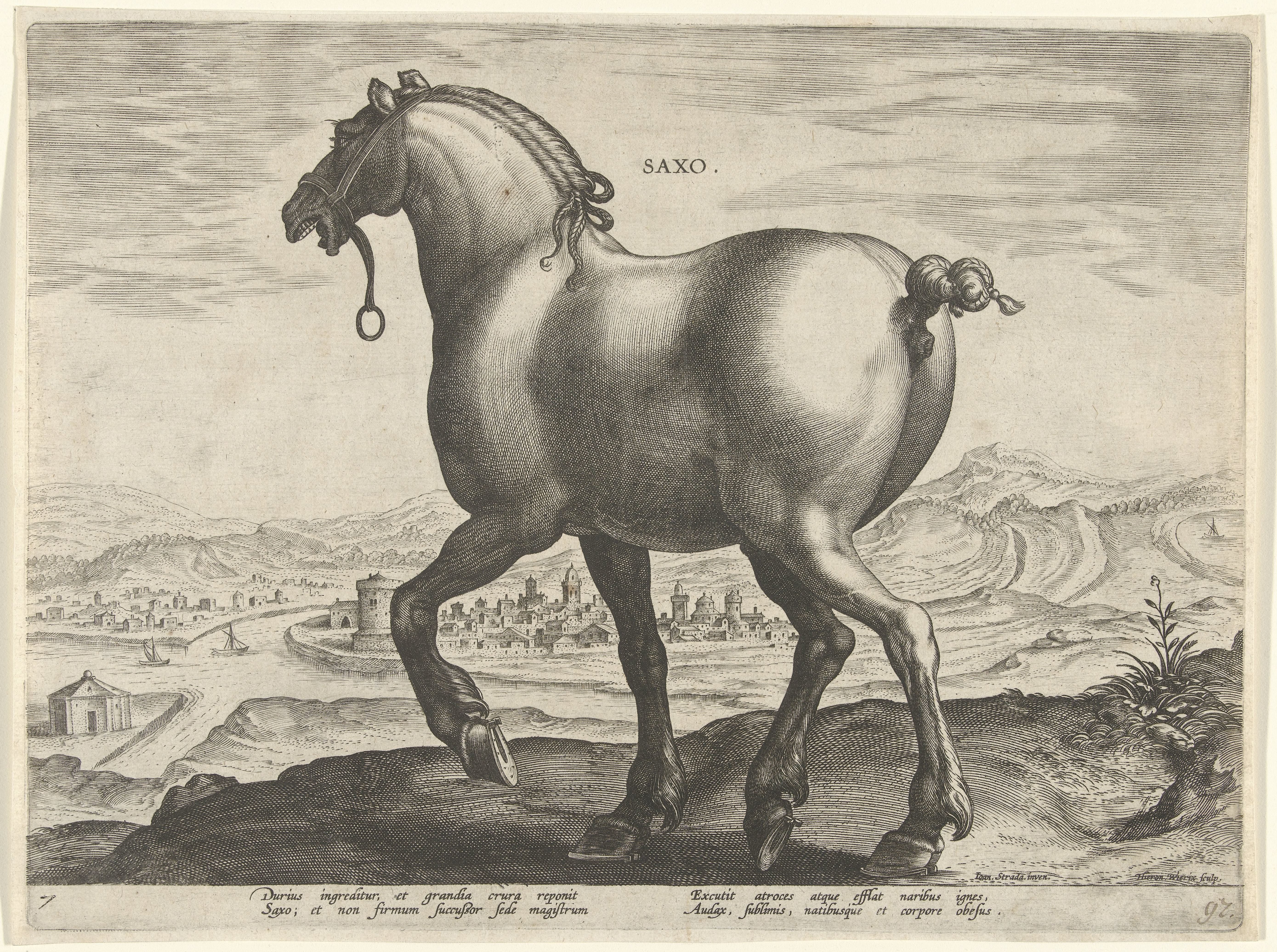 Paard uit Saksen