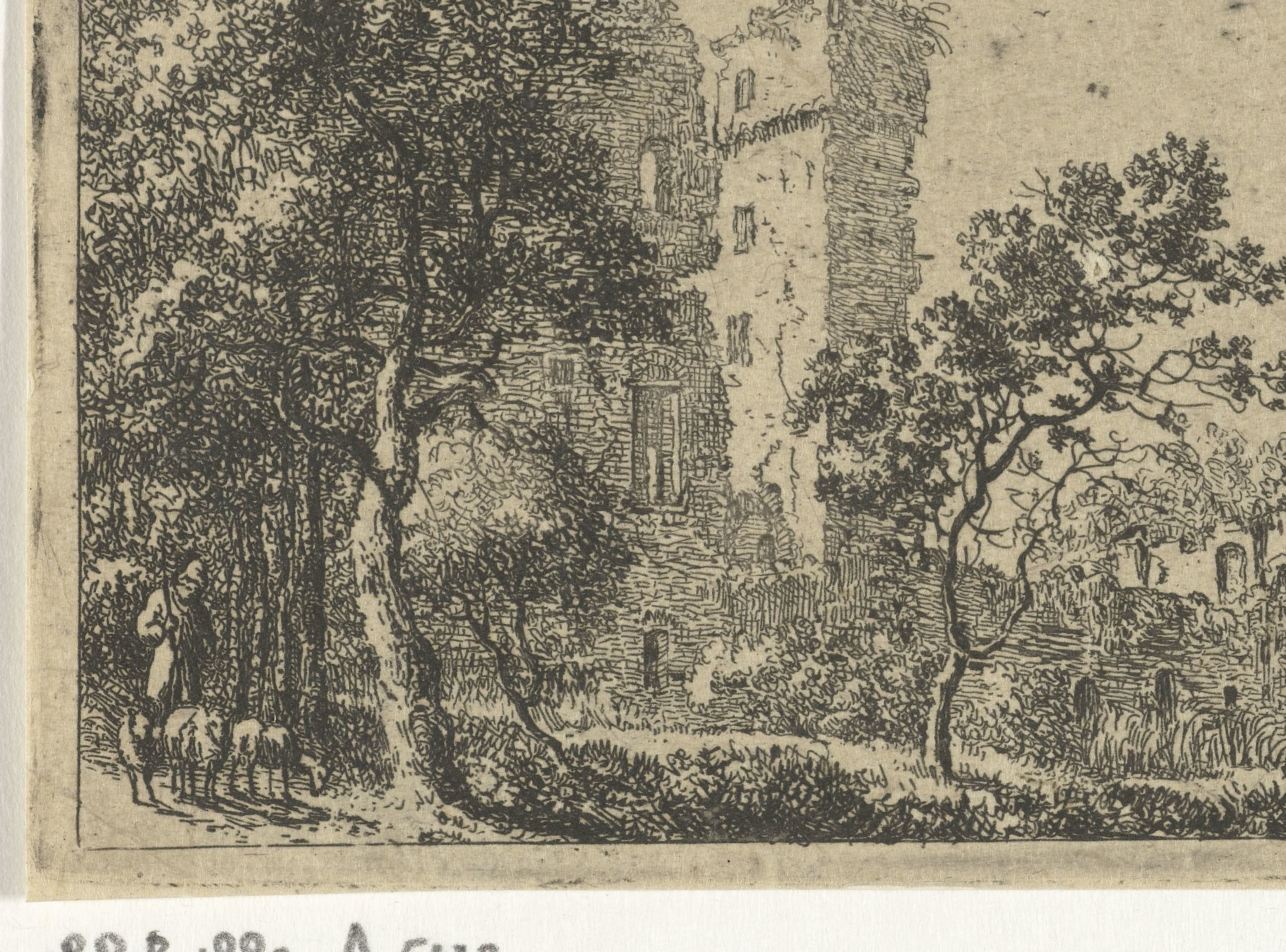 Cornelis van Hardenbergh