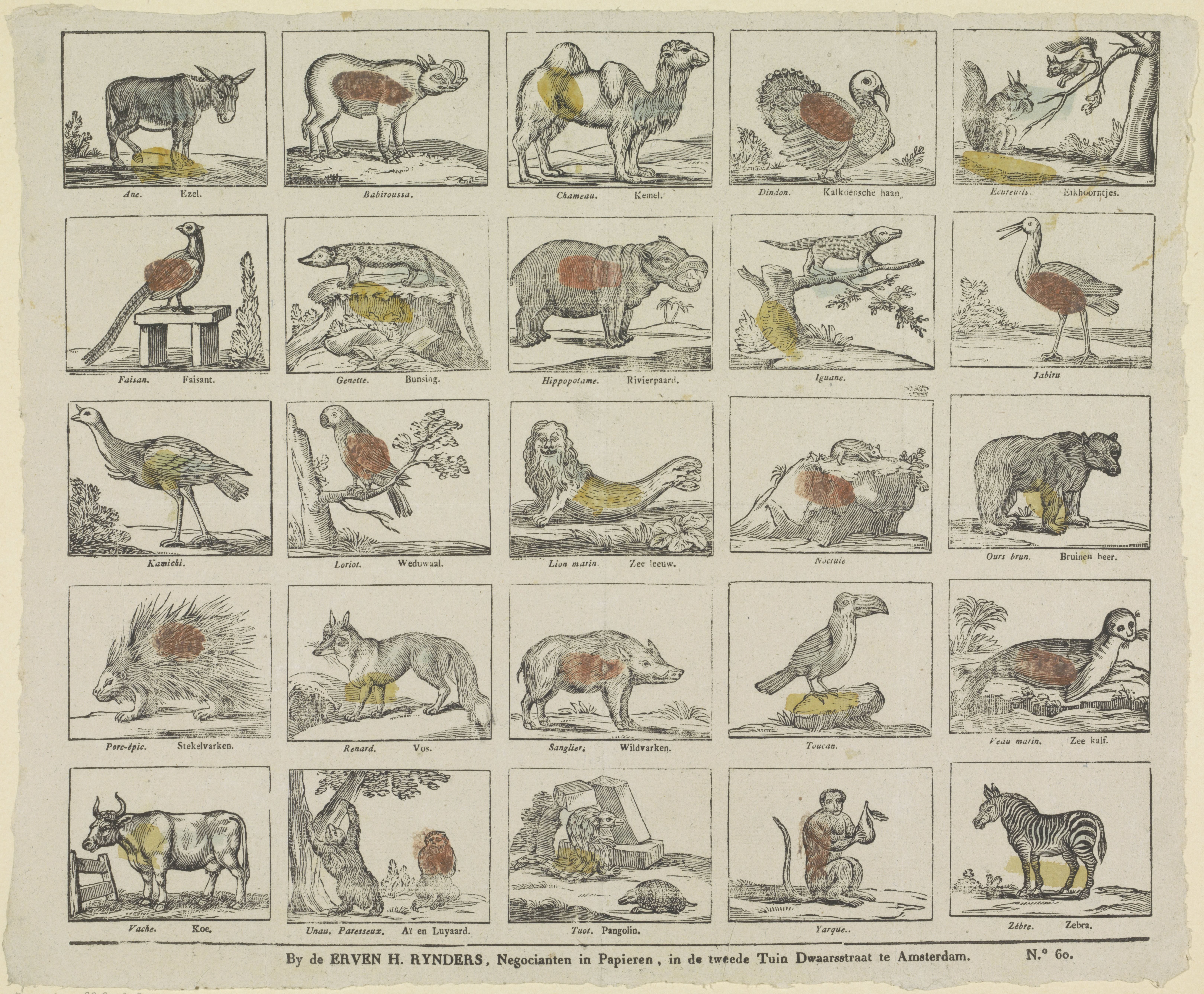 Alfabet met dieren