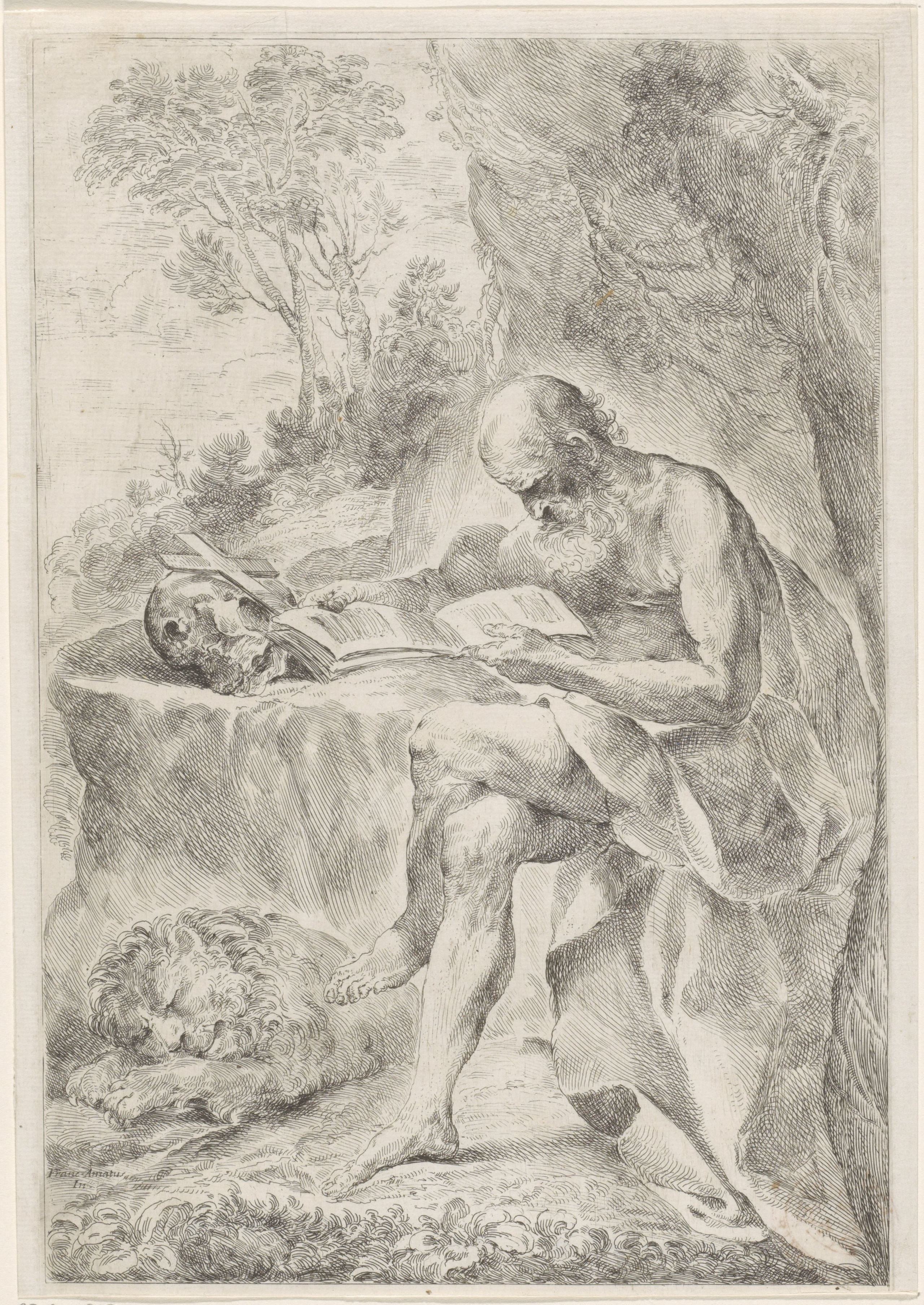 De heilige Hieronymus