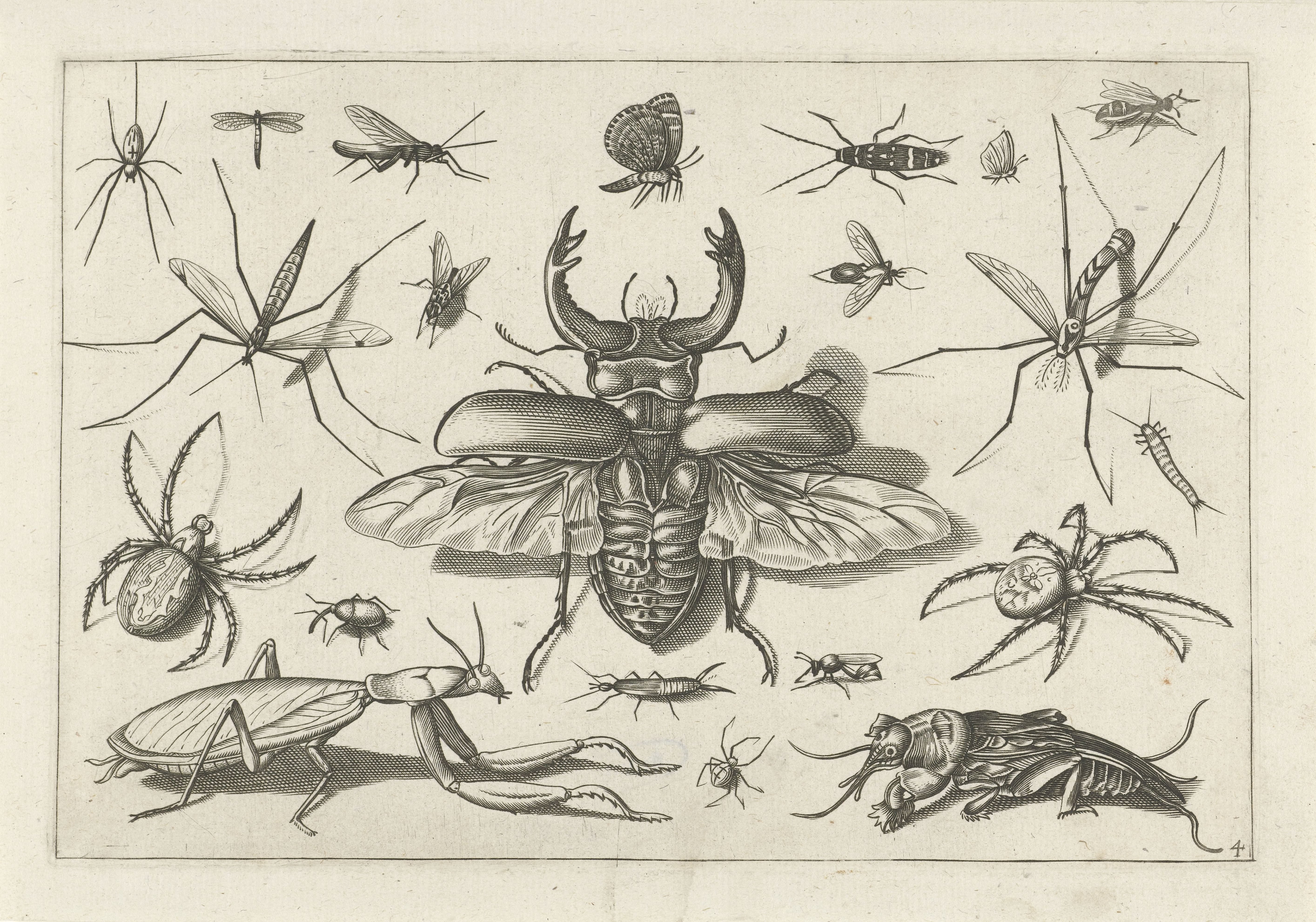 Insecten
