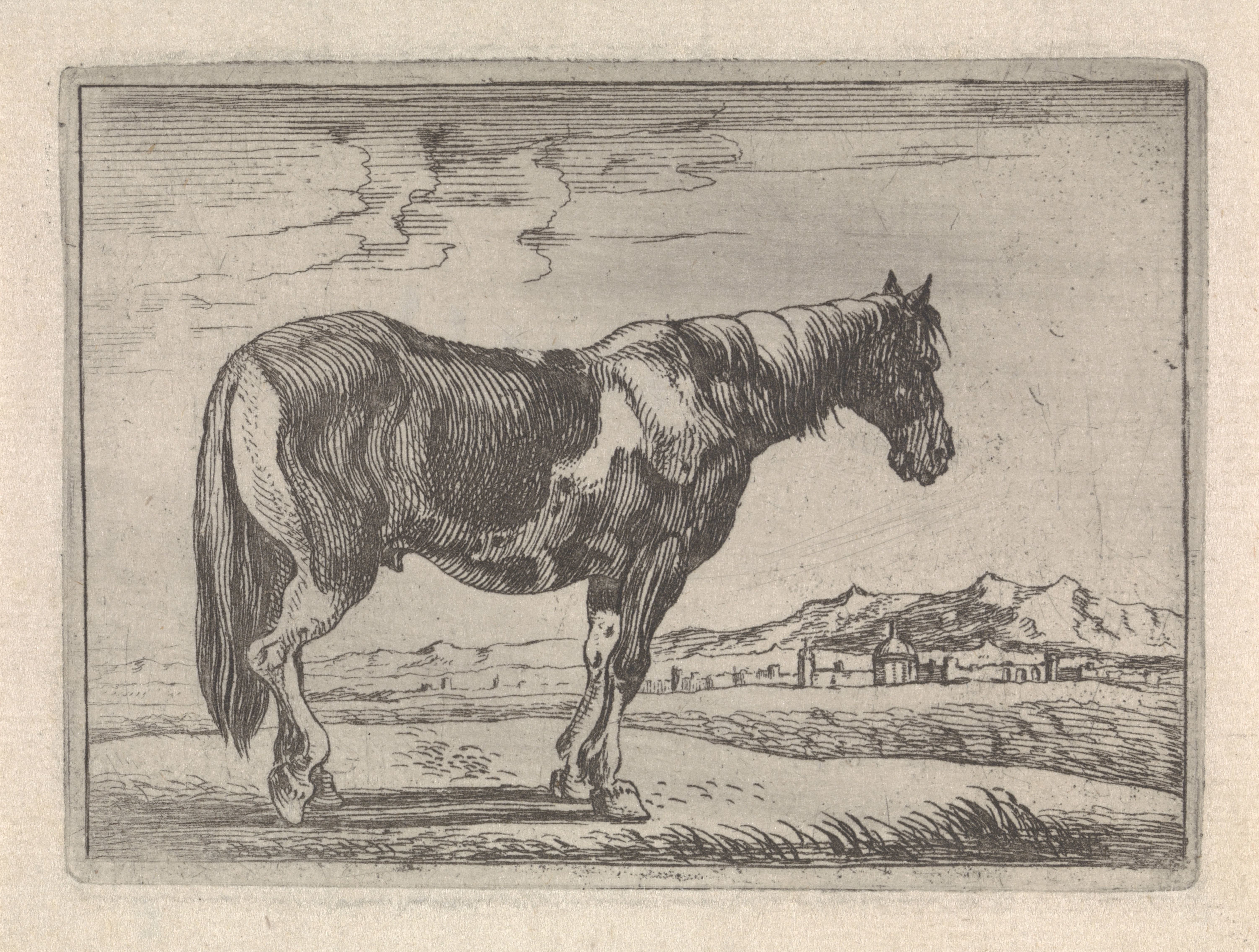Staand paard
