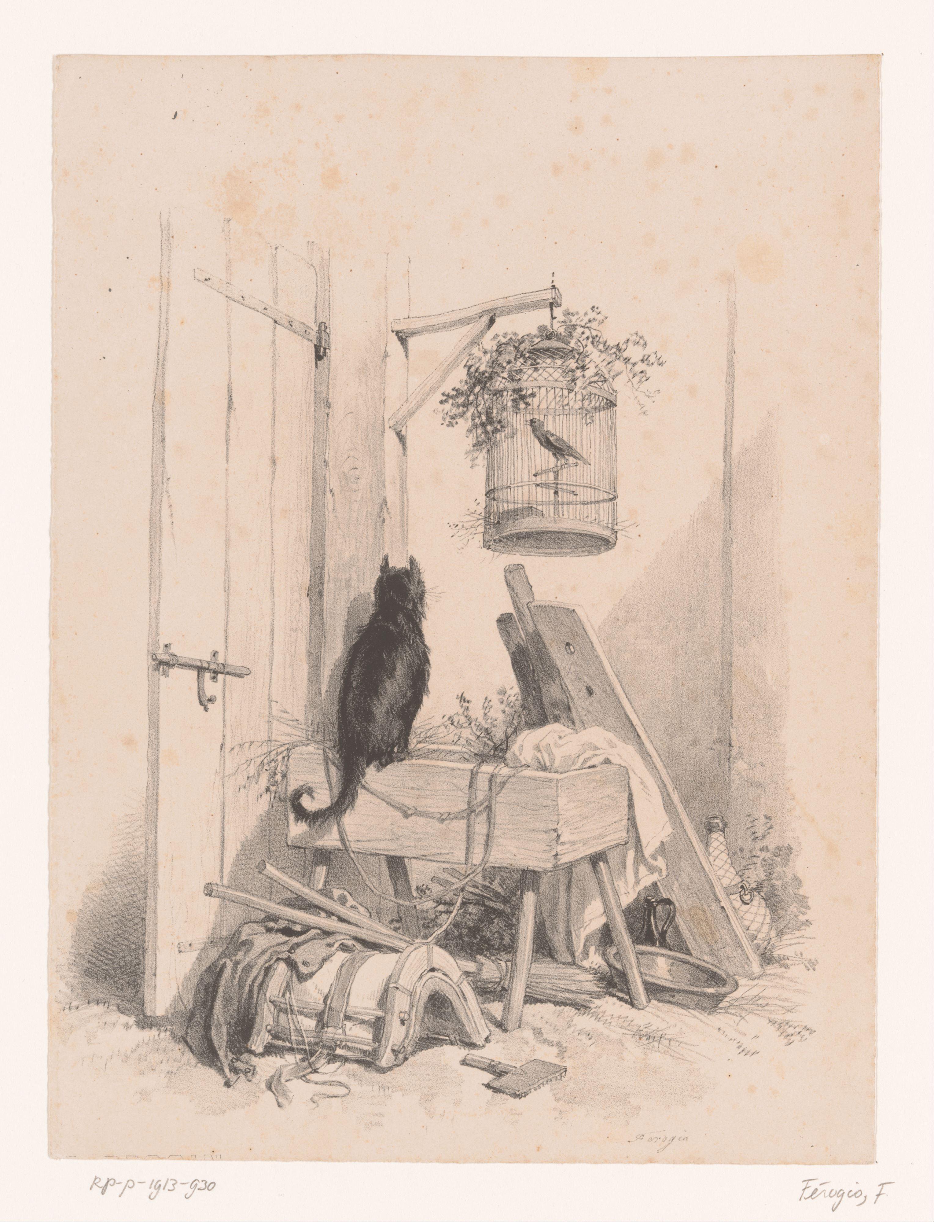 Kat en vogel in vogelkooi
