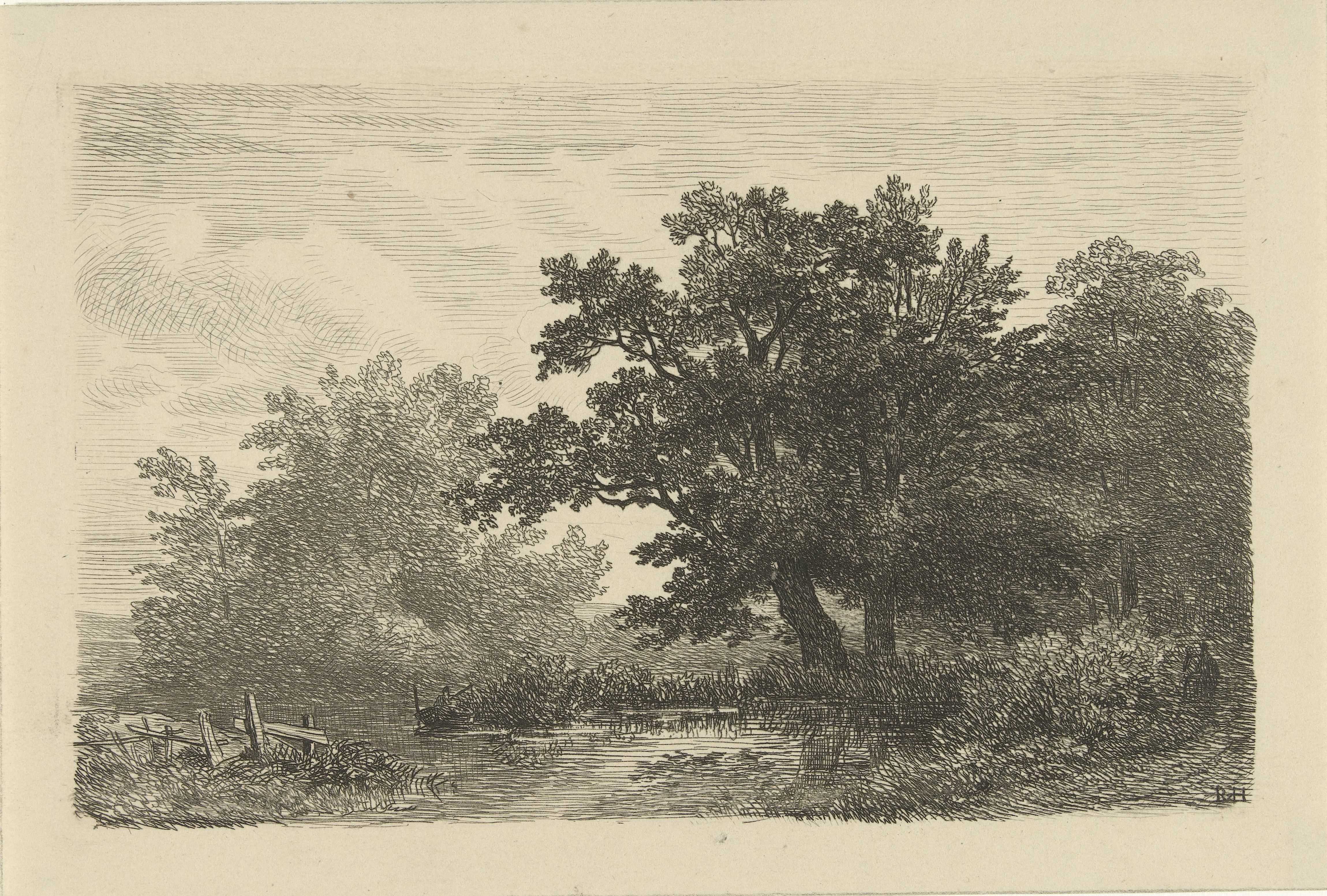 Bomen aan een plas