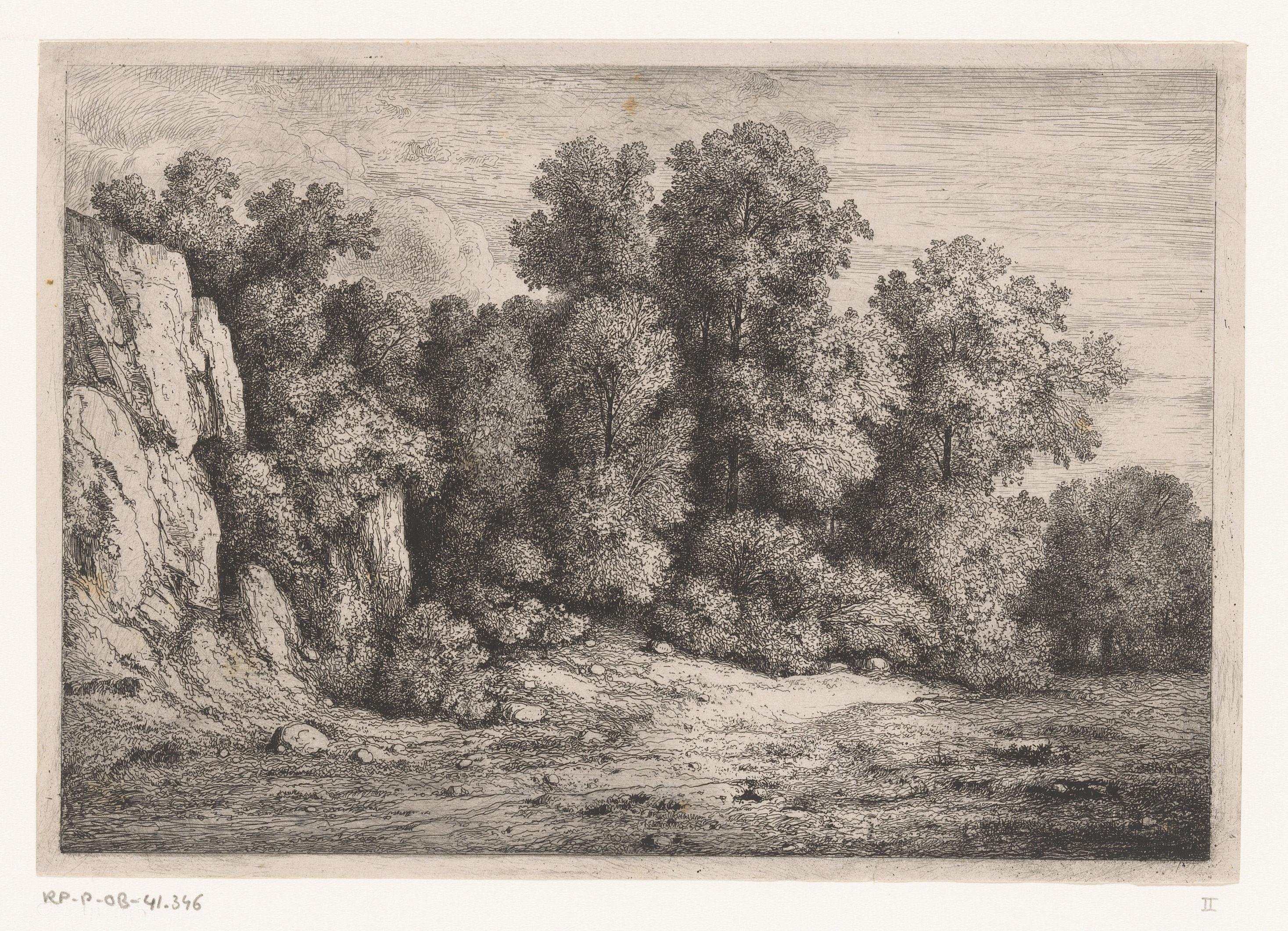 Bomen bij een rotswand
