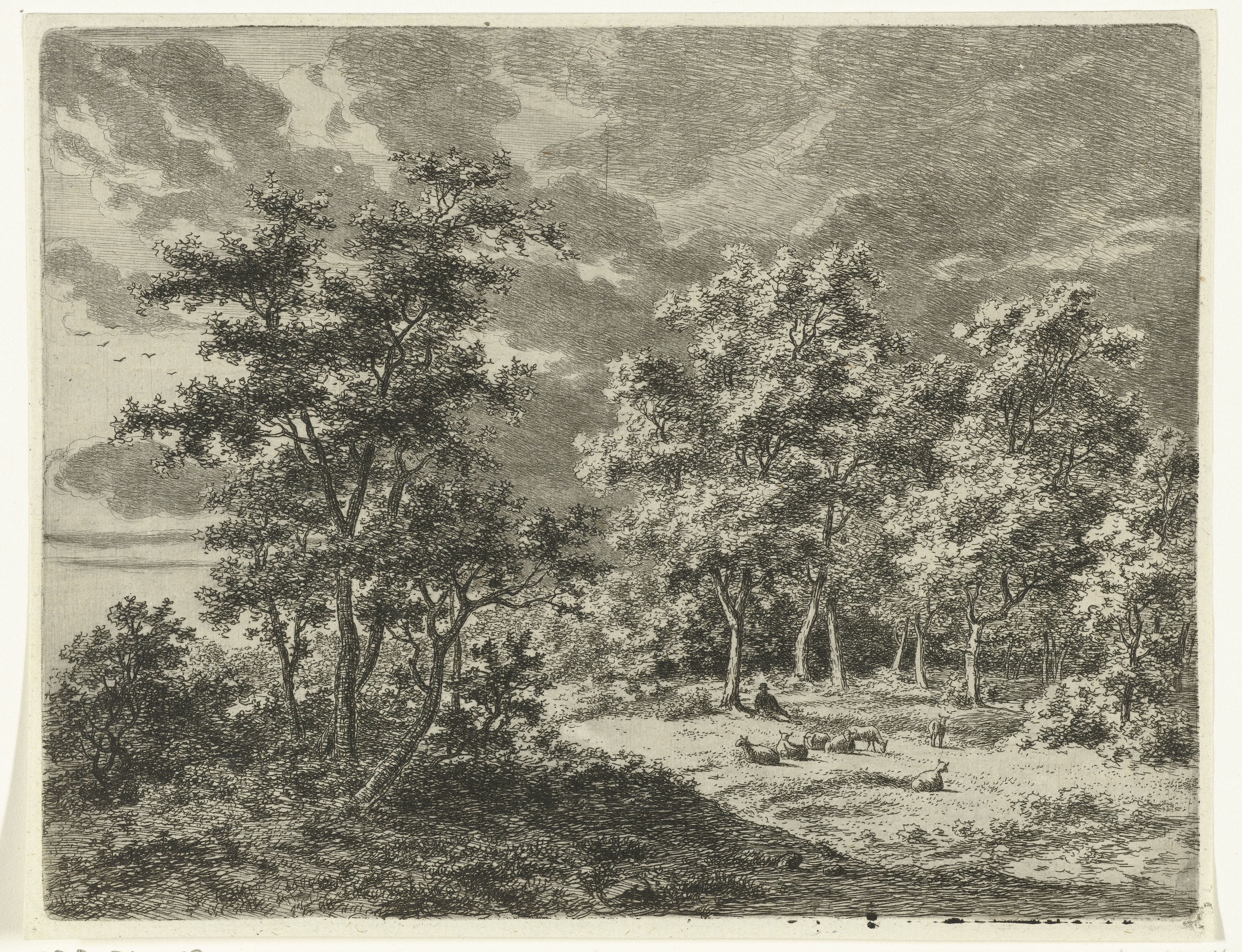 Landschap met herder en zeven schapen
