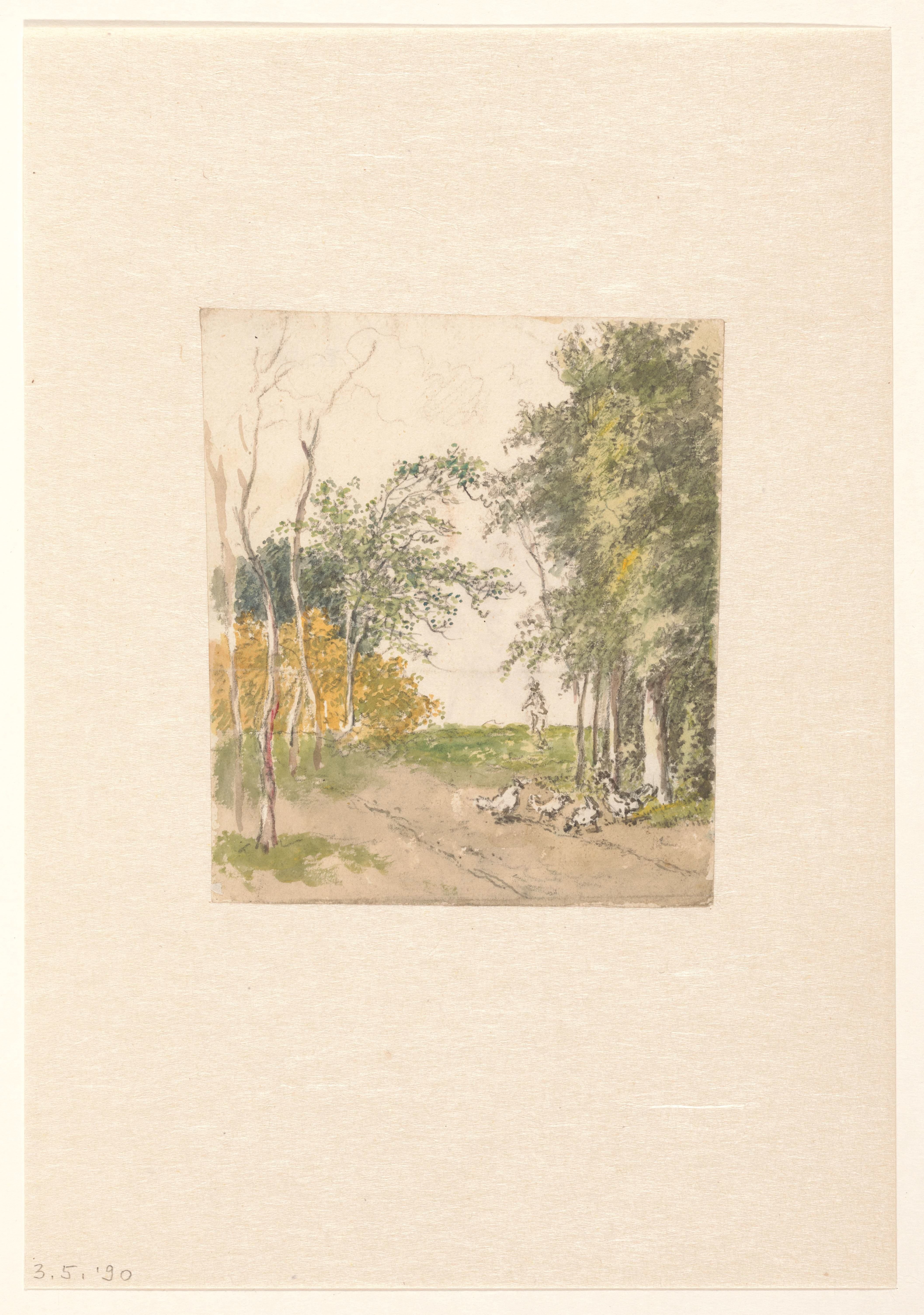 Landschap met kippen langs de weg