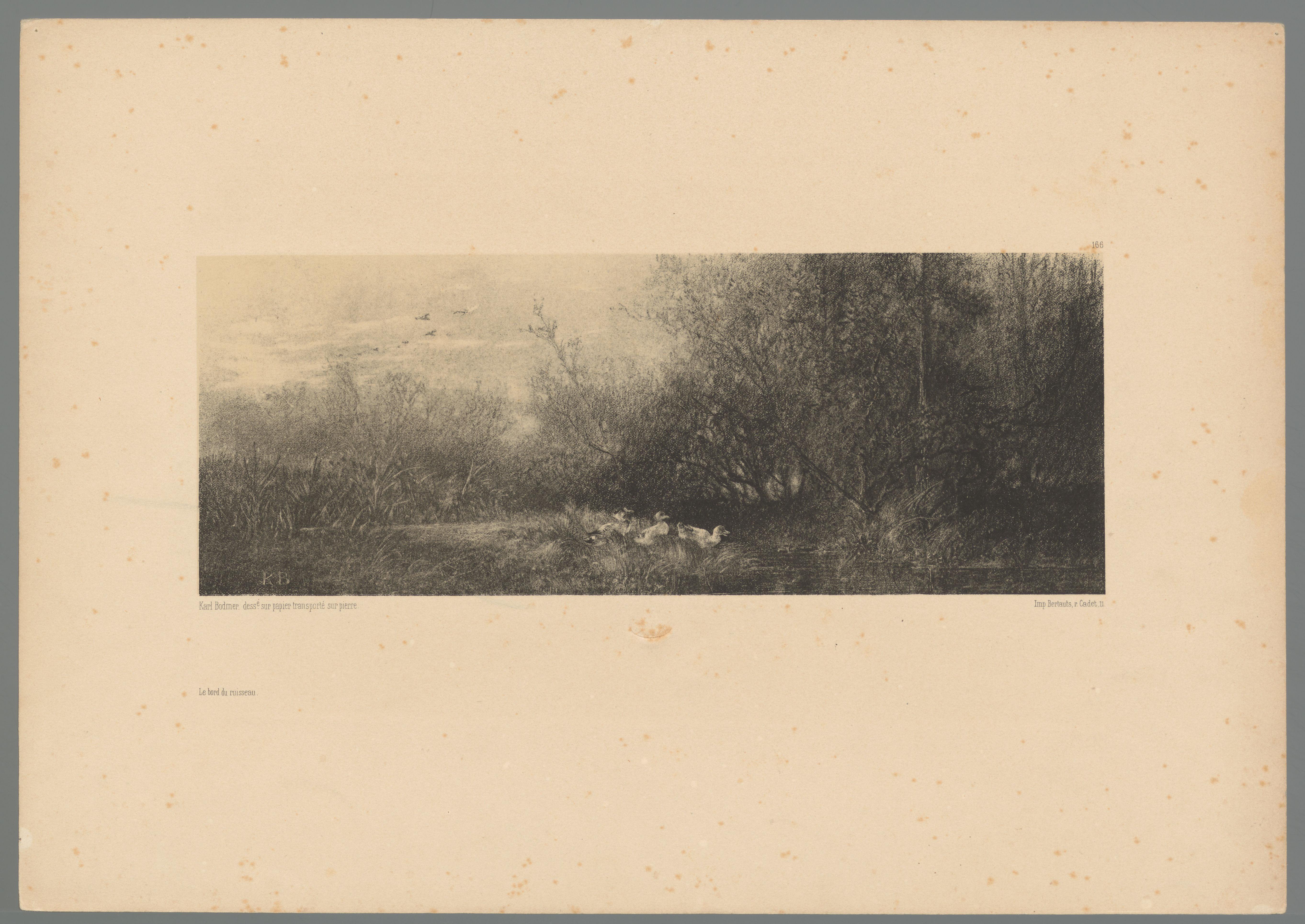 Landschap met eenden