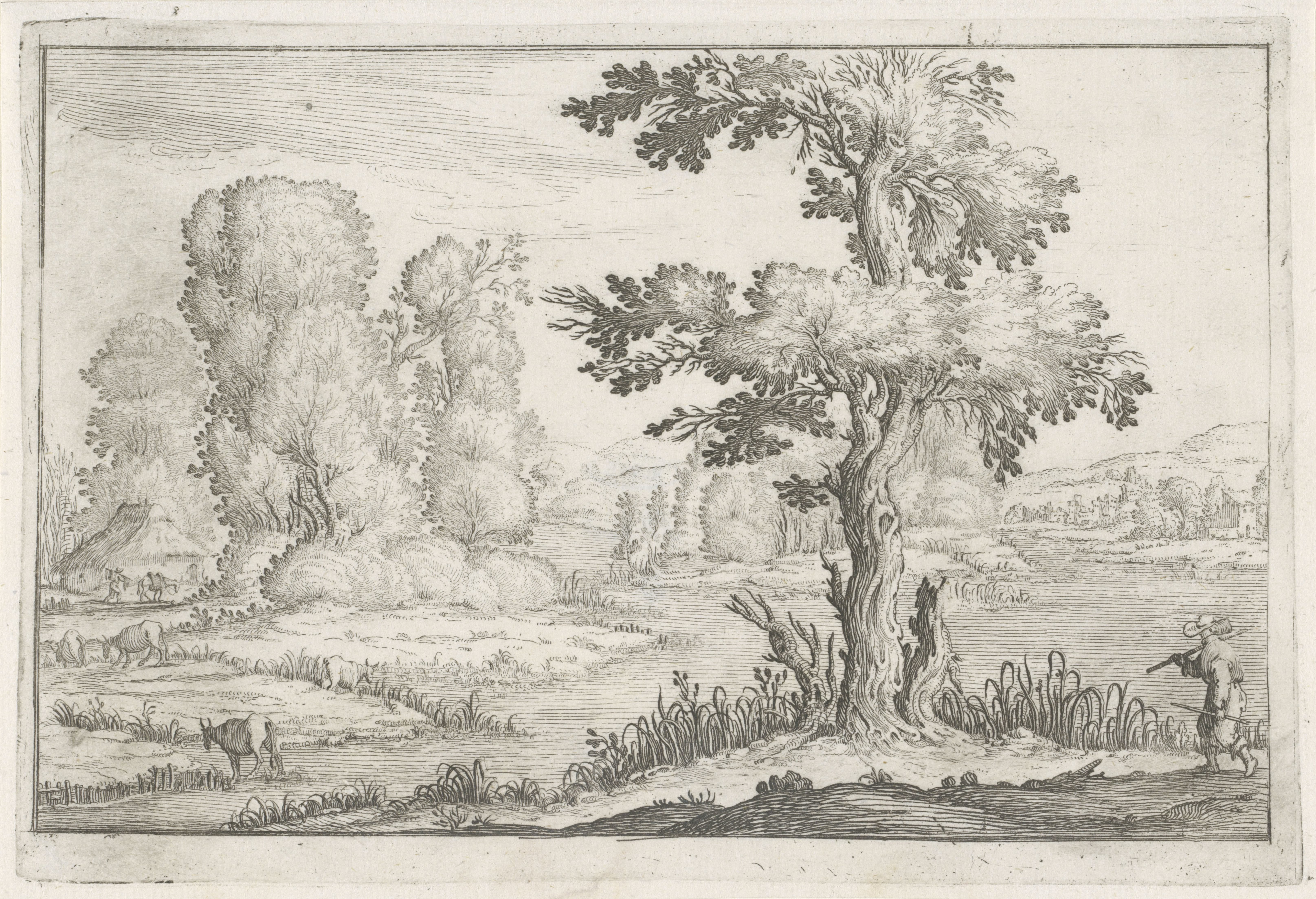 Landschap met ossen