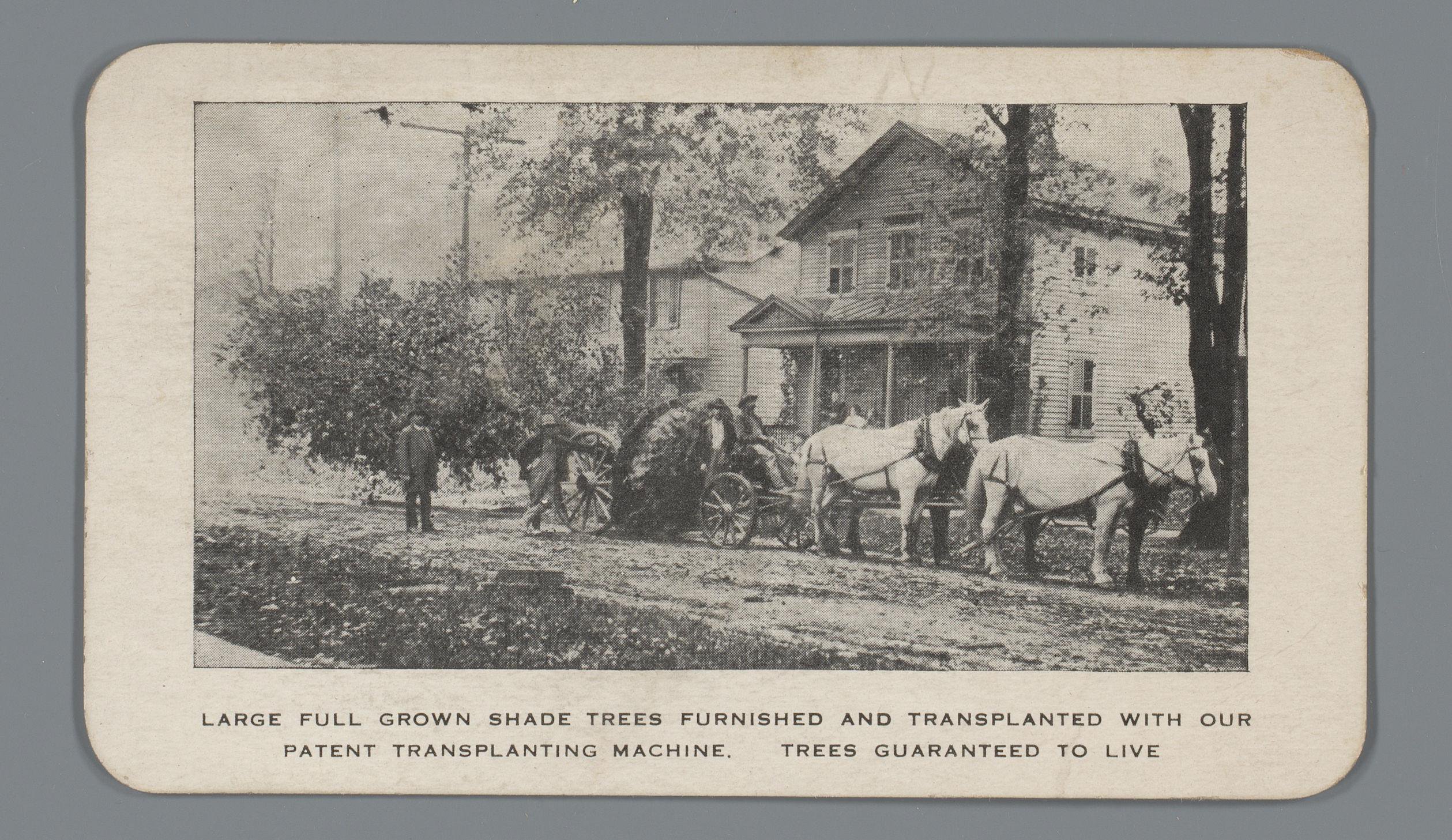 Reclame voor boomtransplantaties van E.L. Loomis te Syracuse, met gezicht op het transport van een boom met paarden en wagen en woning op de achtergrond