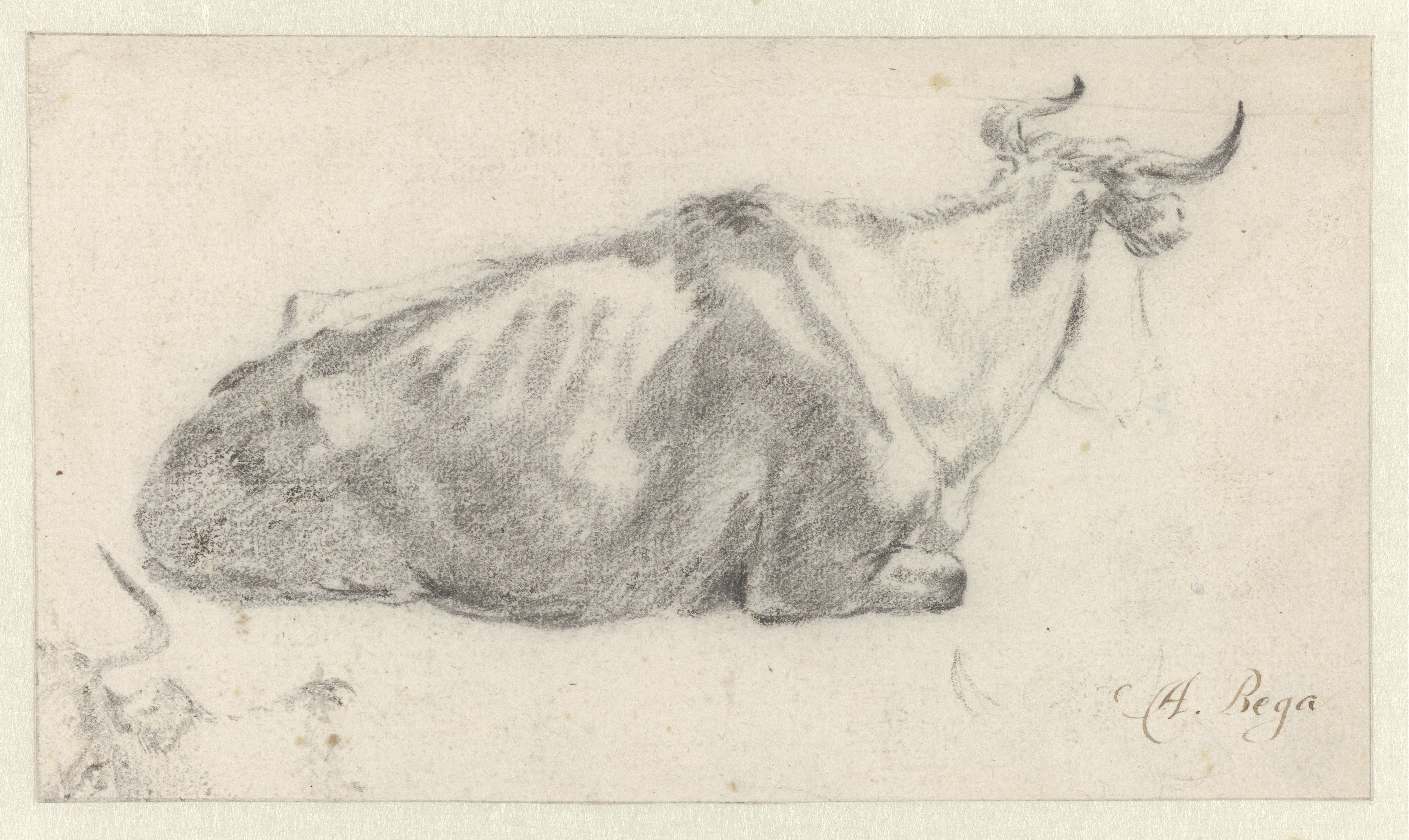 Recumbent Cow Facing Right, with Fragment of a Cow’s Head