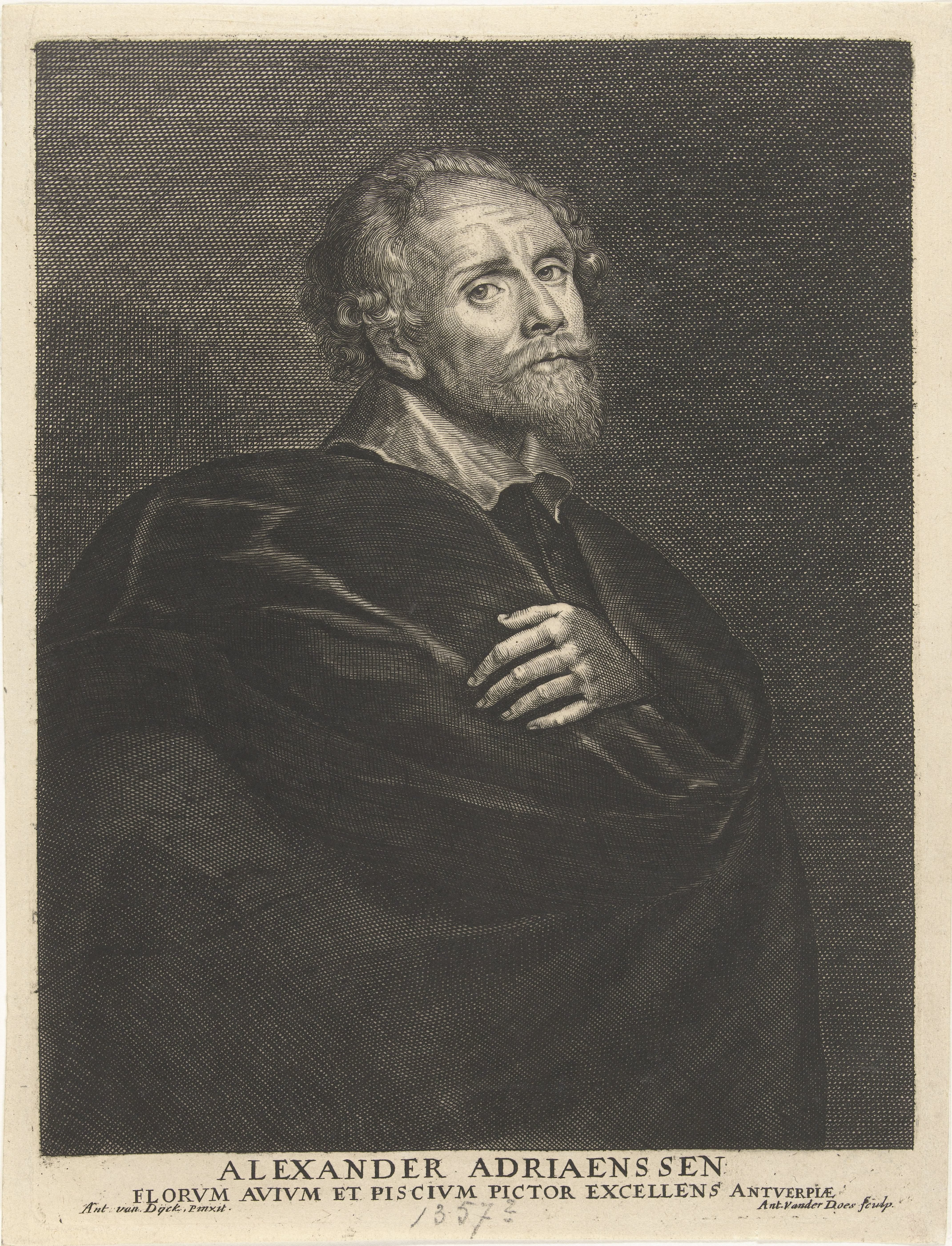 Portret van Alexander Adriaensen
