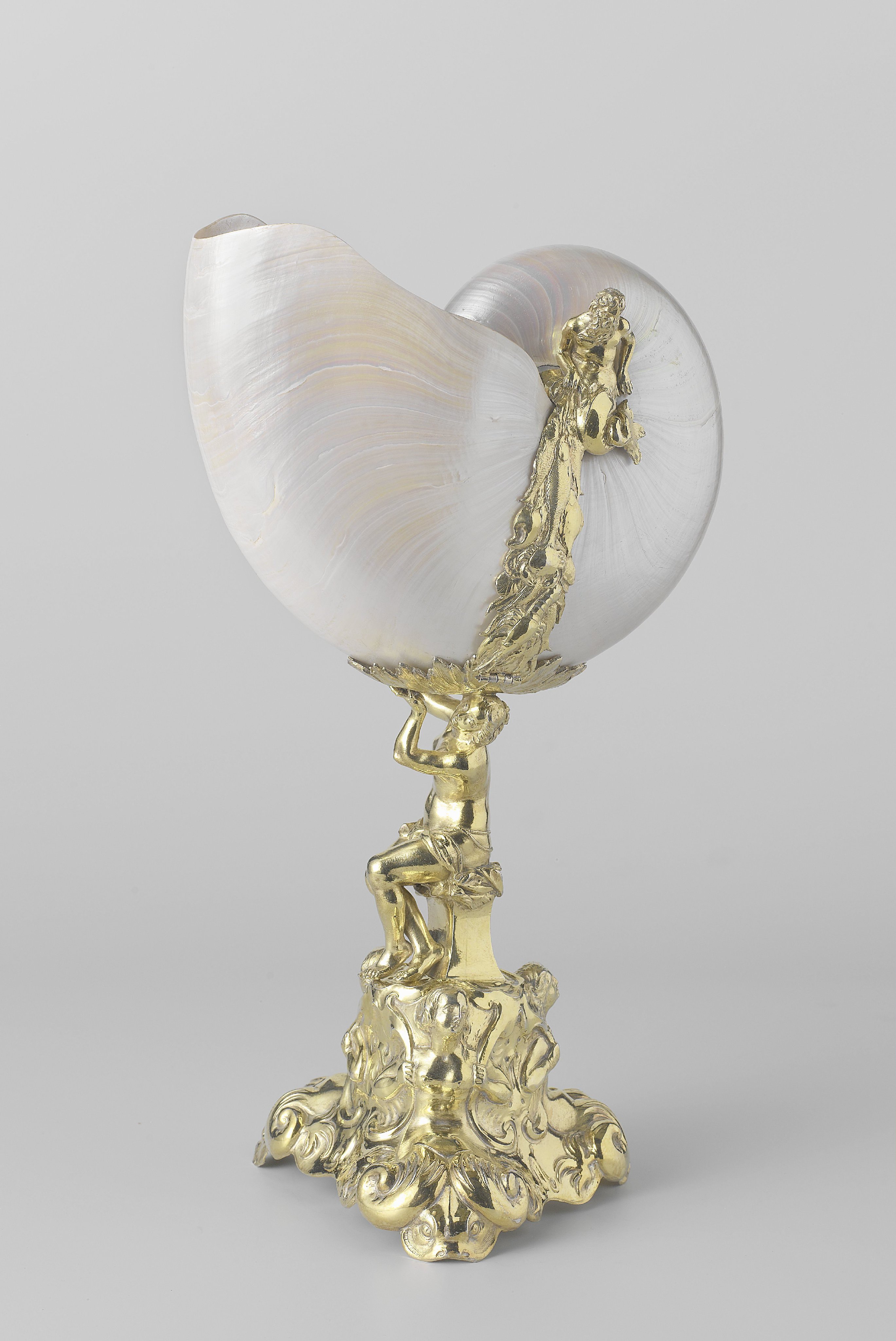 Nautilus cup