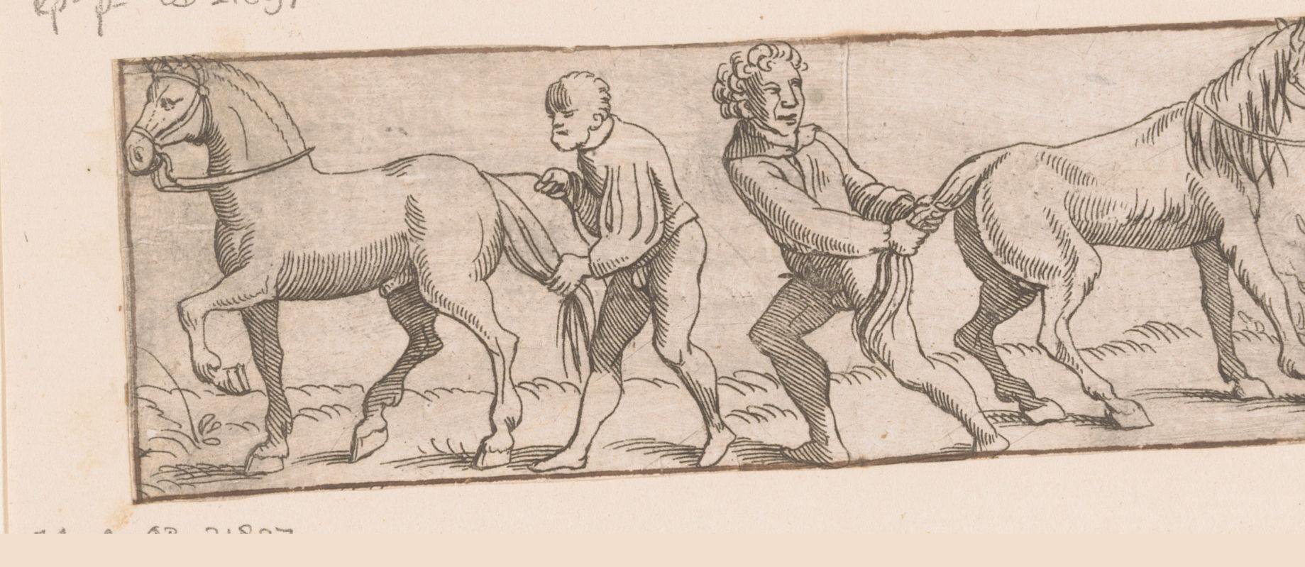 Twee mannen trekken aan paardenstaarten