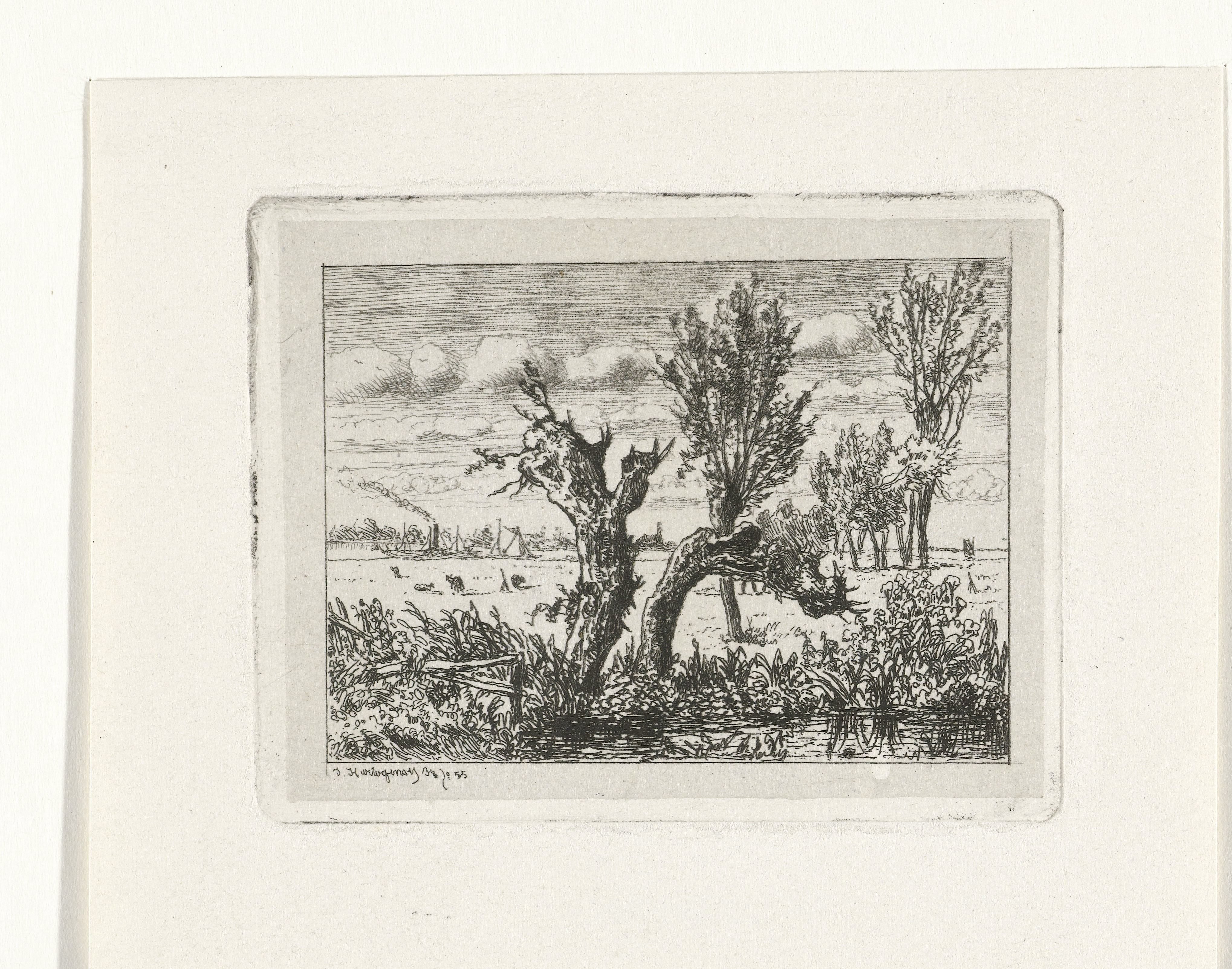 Landschap met knotwilgen