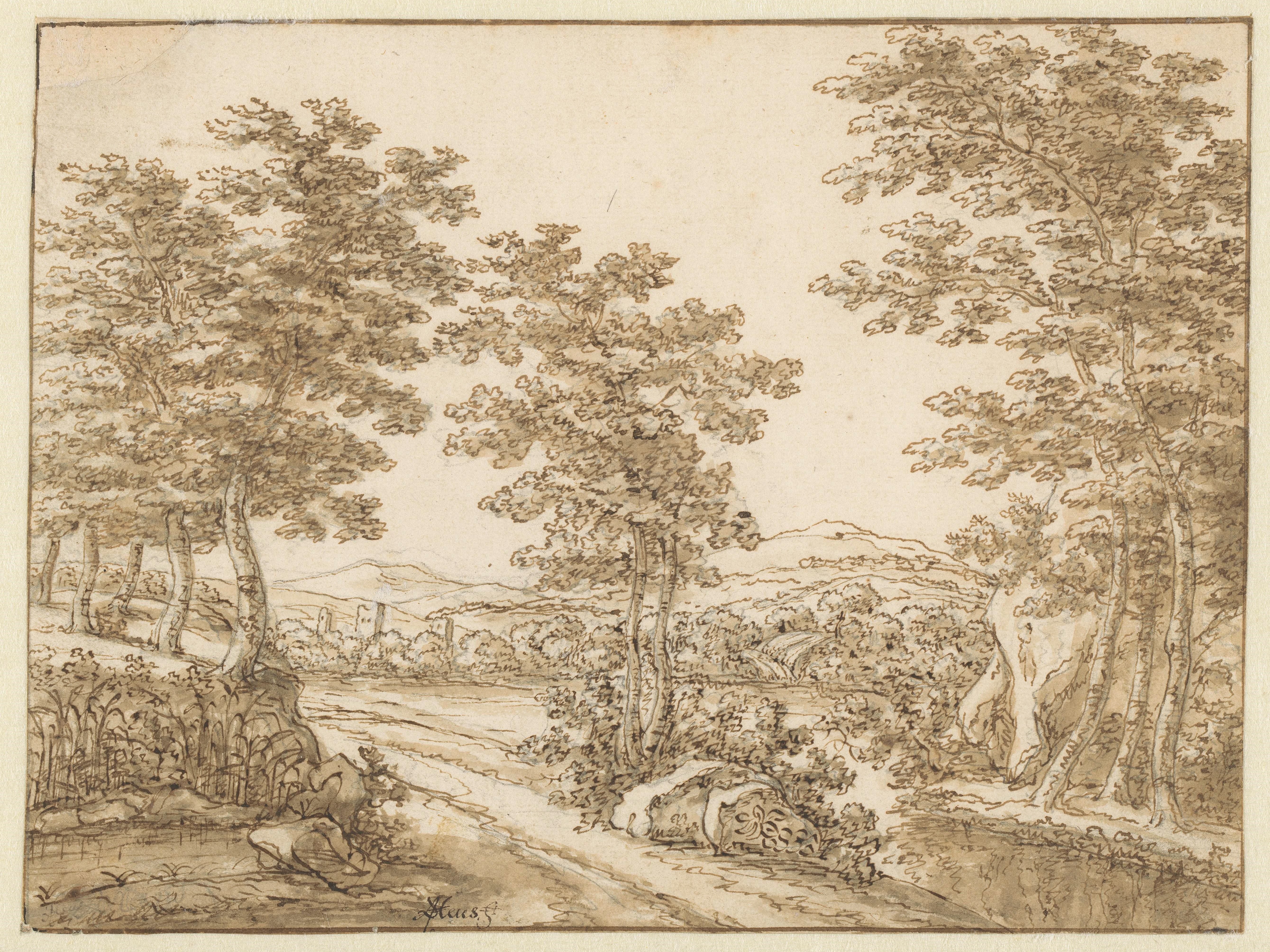 Heuvelachtig boomrijk landschap