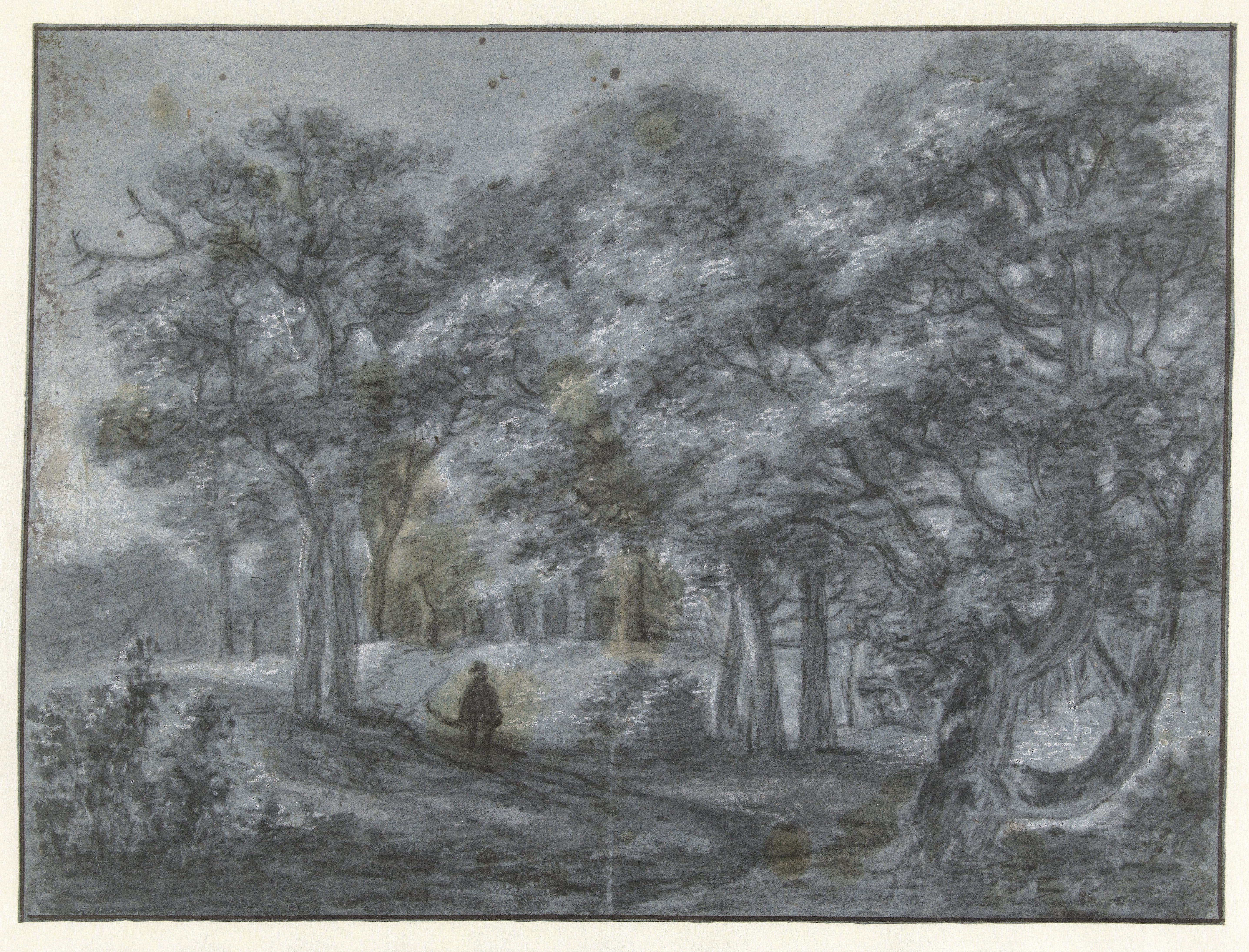 Gezicht in het Haagse bos