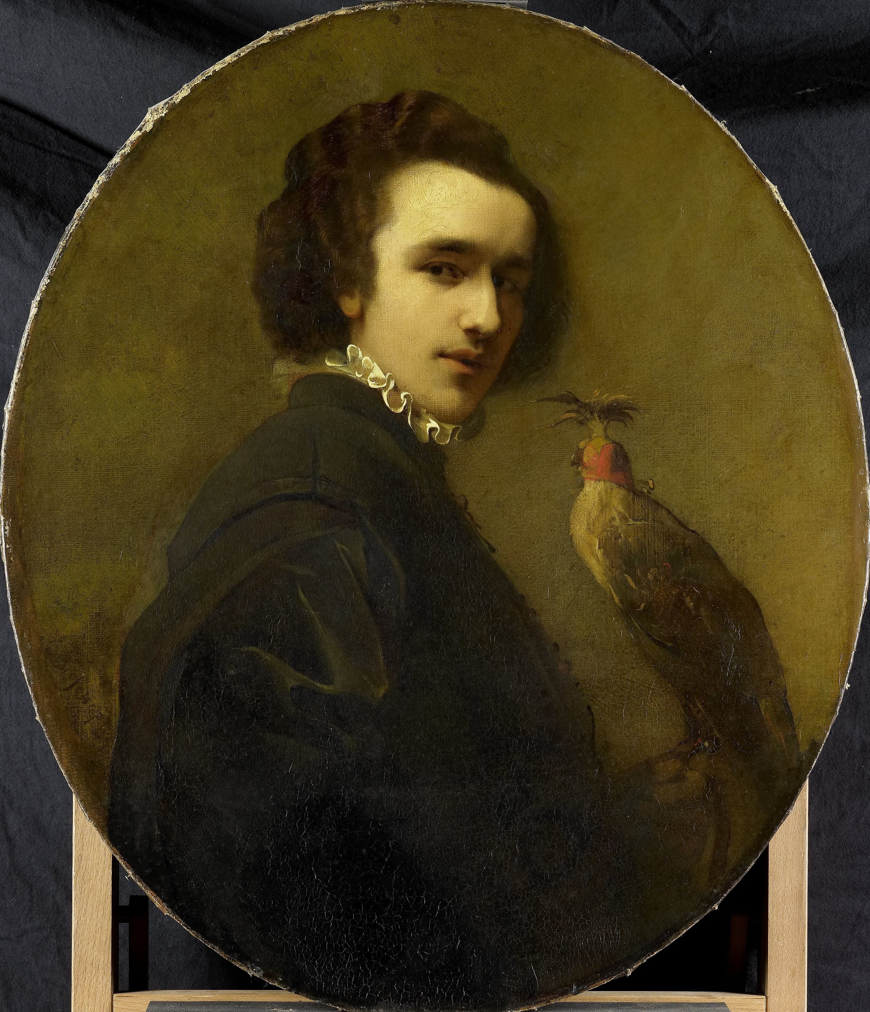 The Falconer