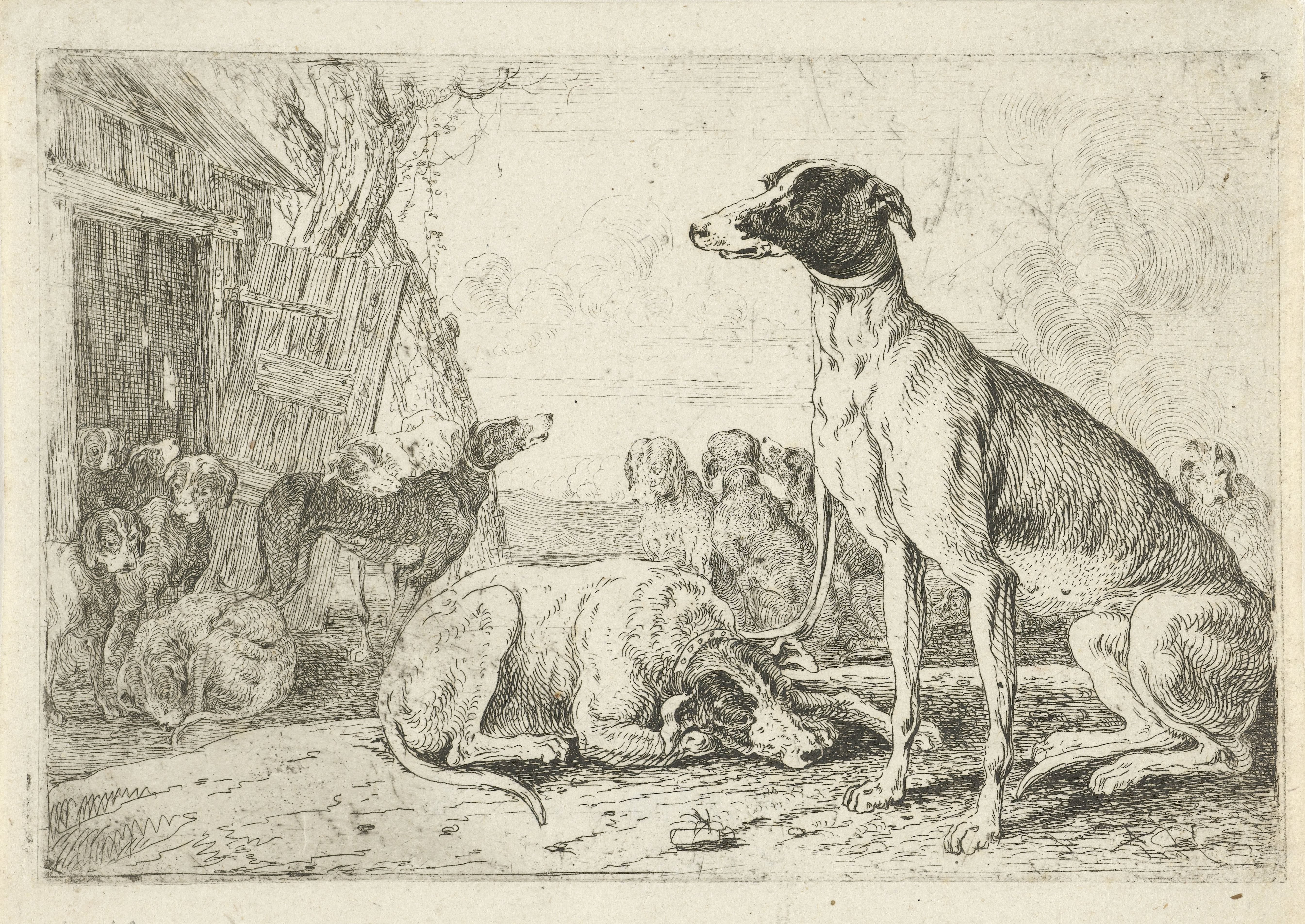 Hondenkennel