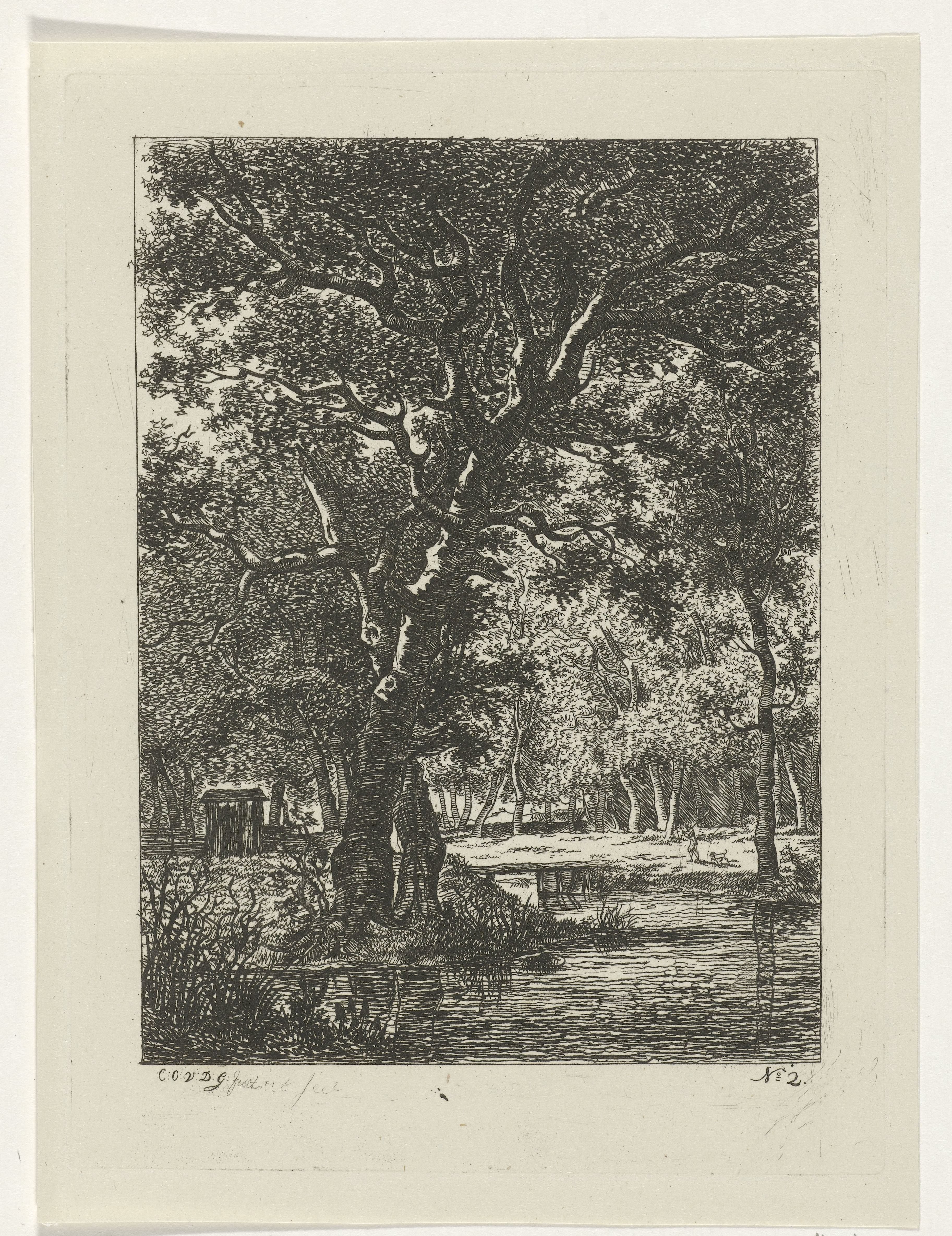 Bosgezicht