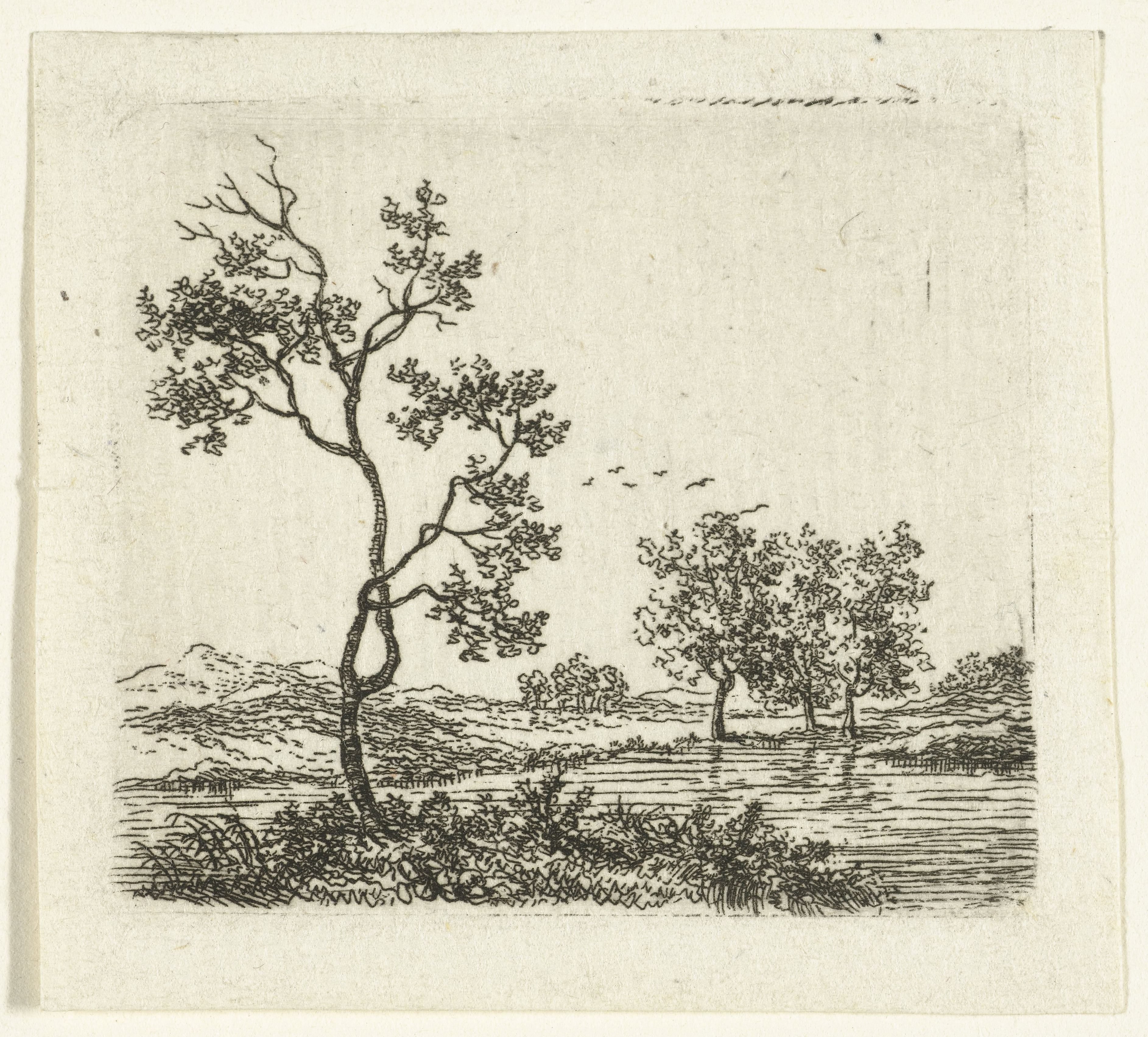 Rivierlandschap met bomen