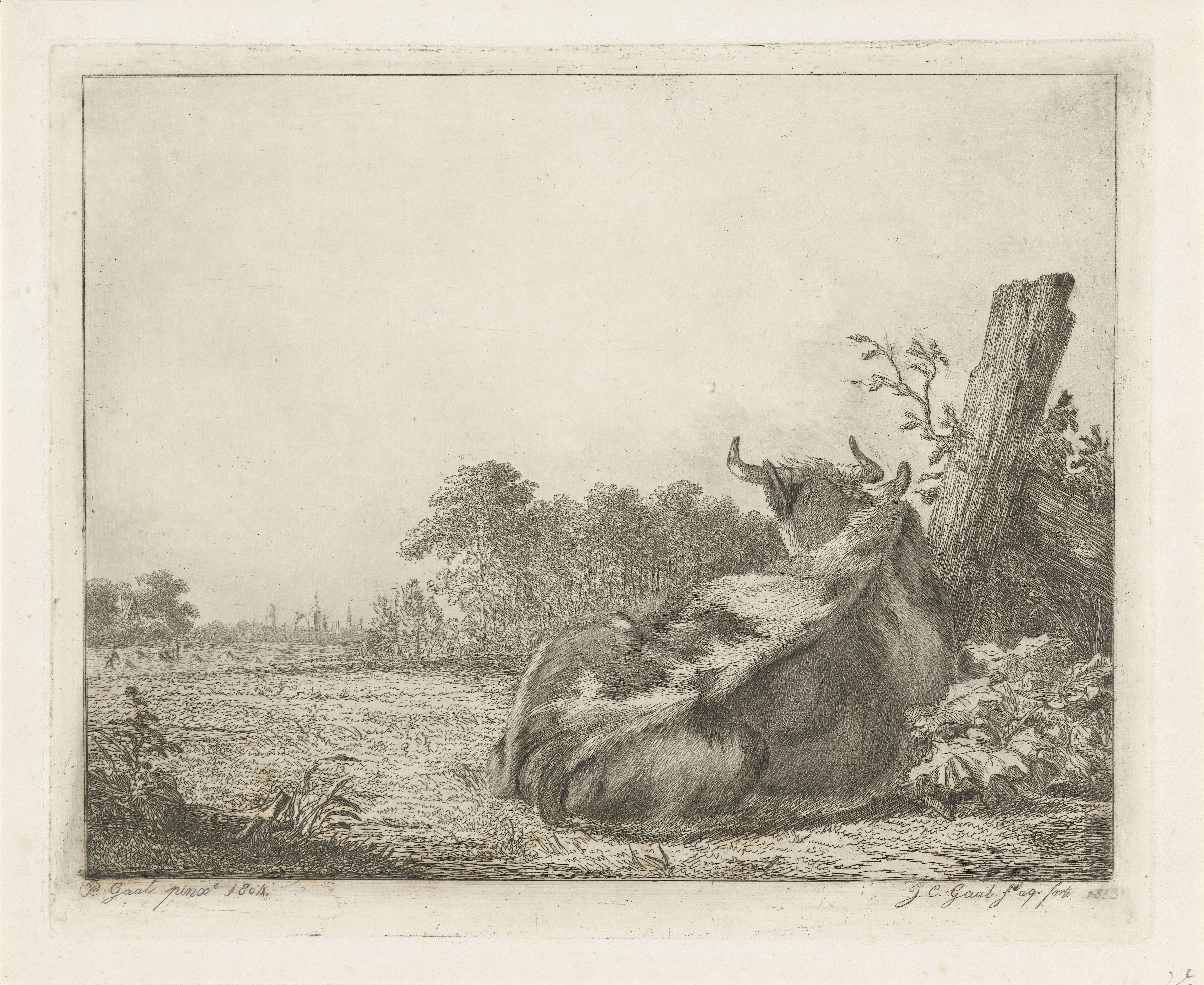 Jacobus Cornelis Gaal