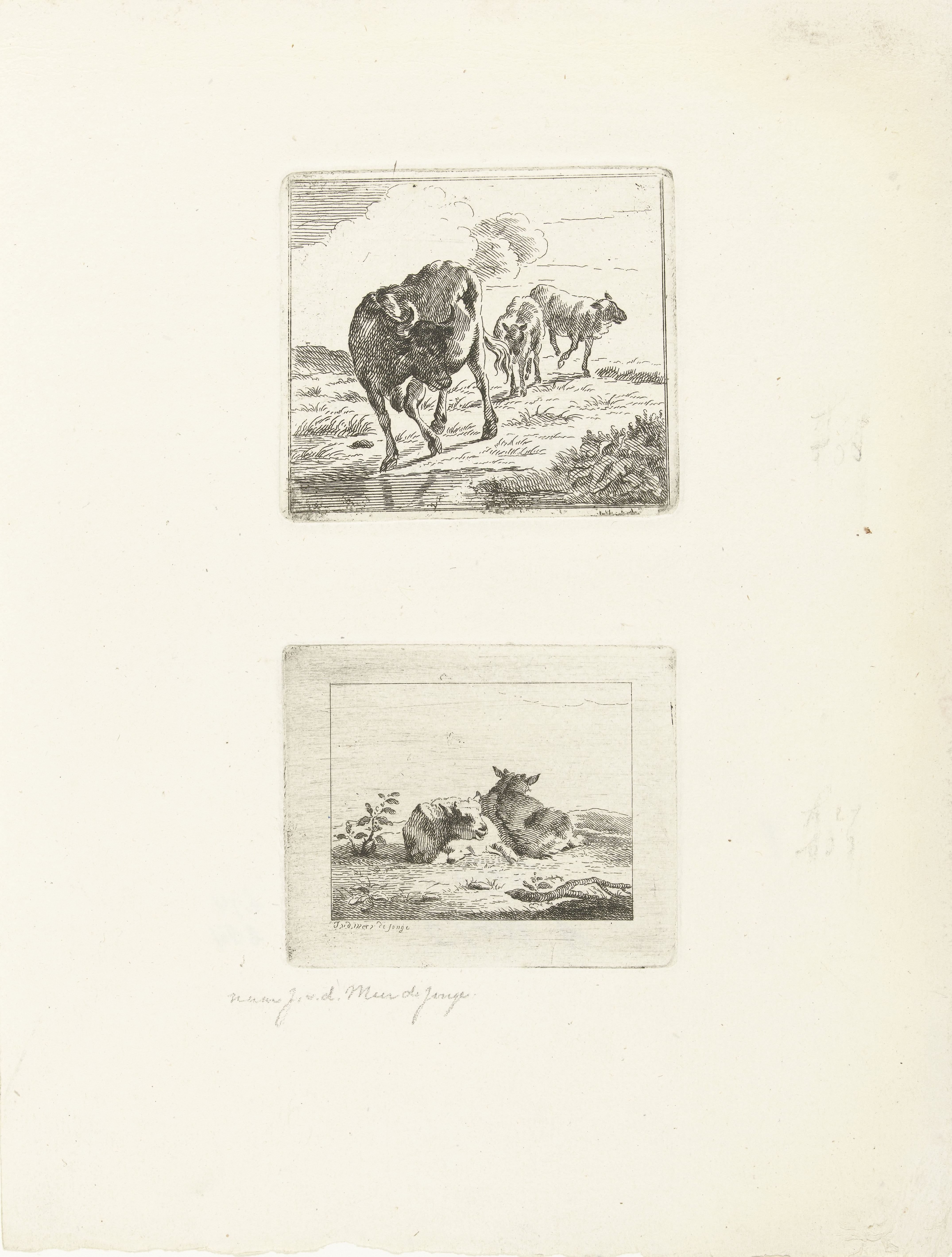 Twee voorstellingen met koeien