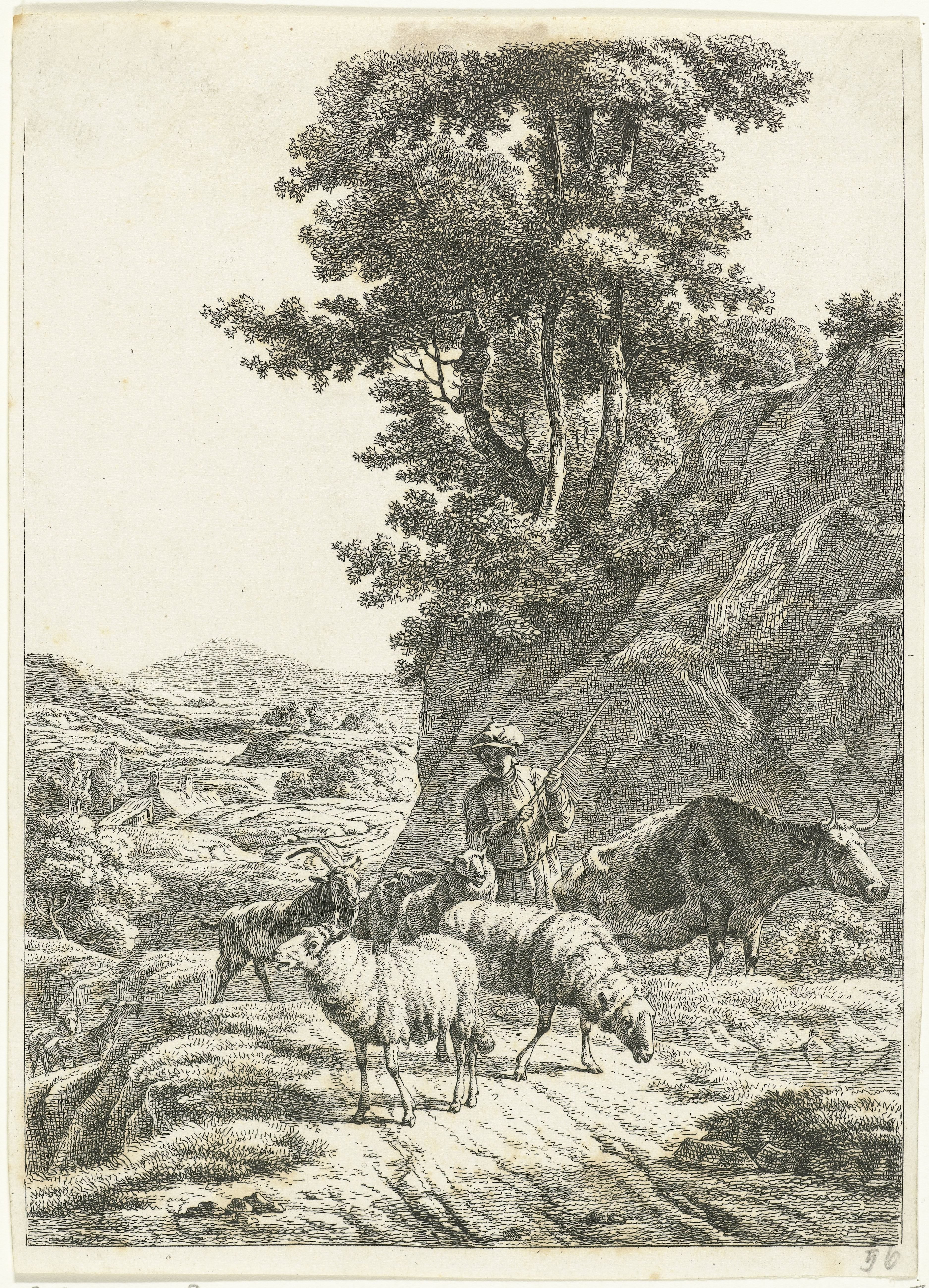 Herder met kudde op bergpad