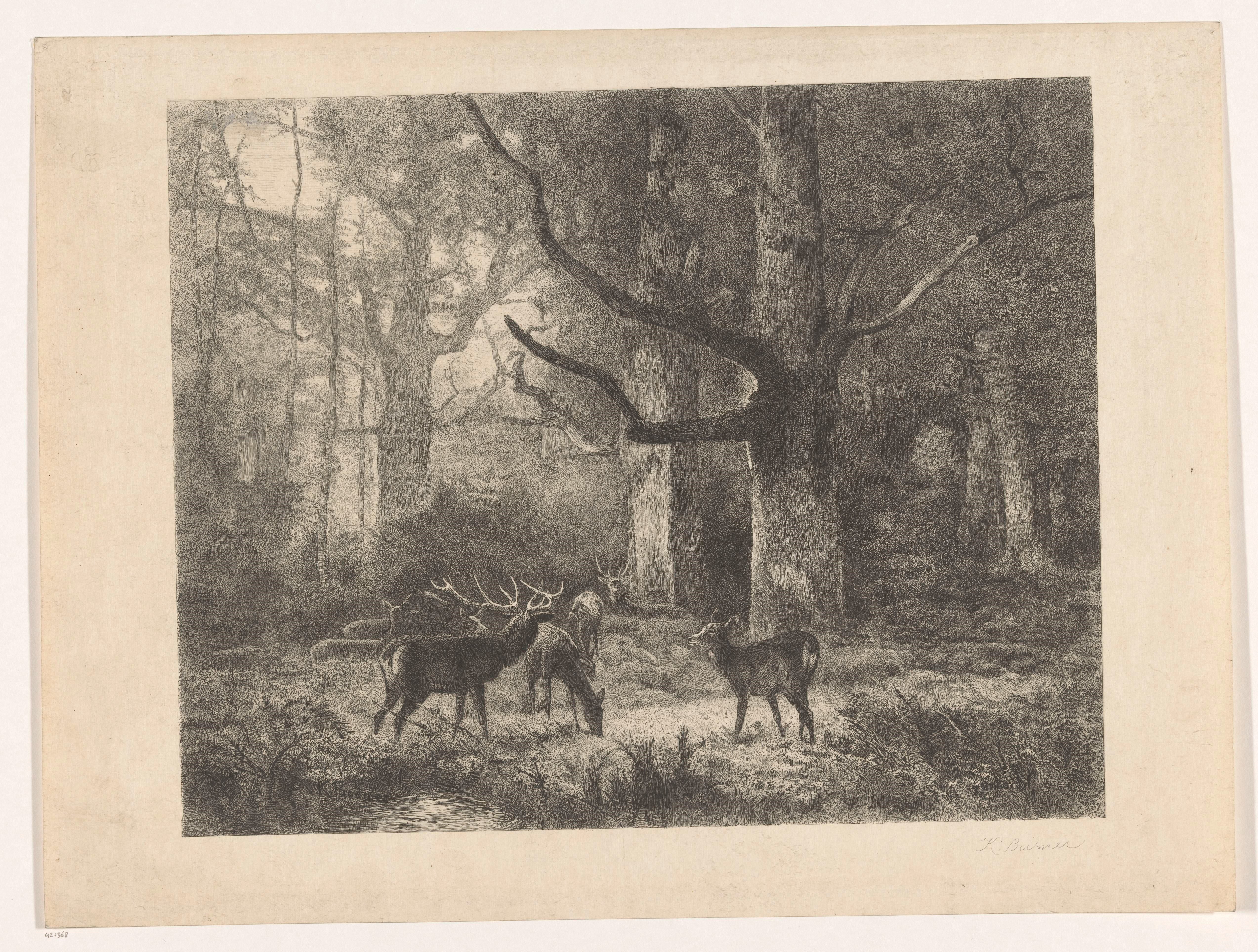 Herten in een bos