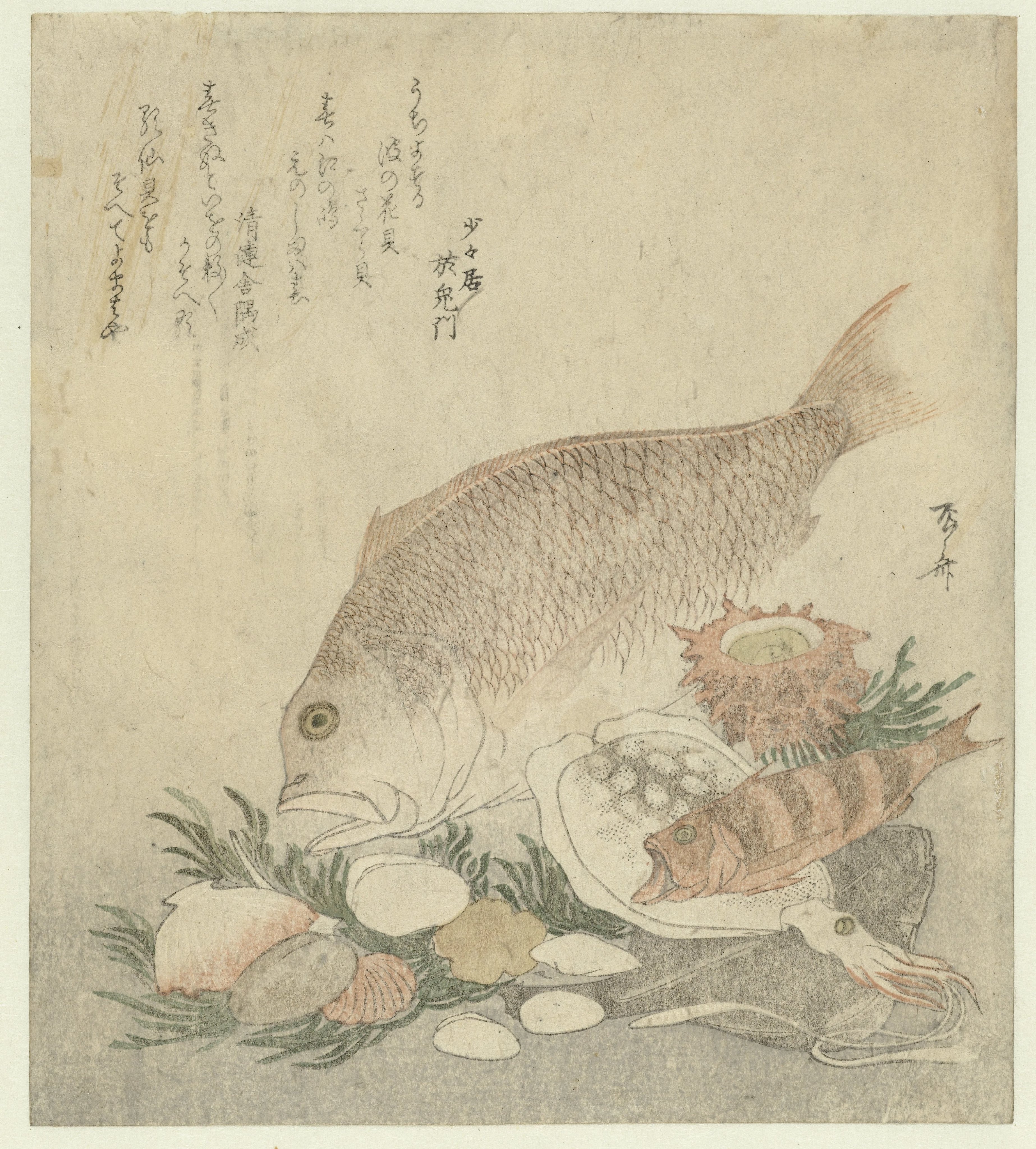 Fish and Shells