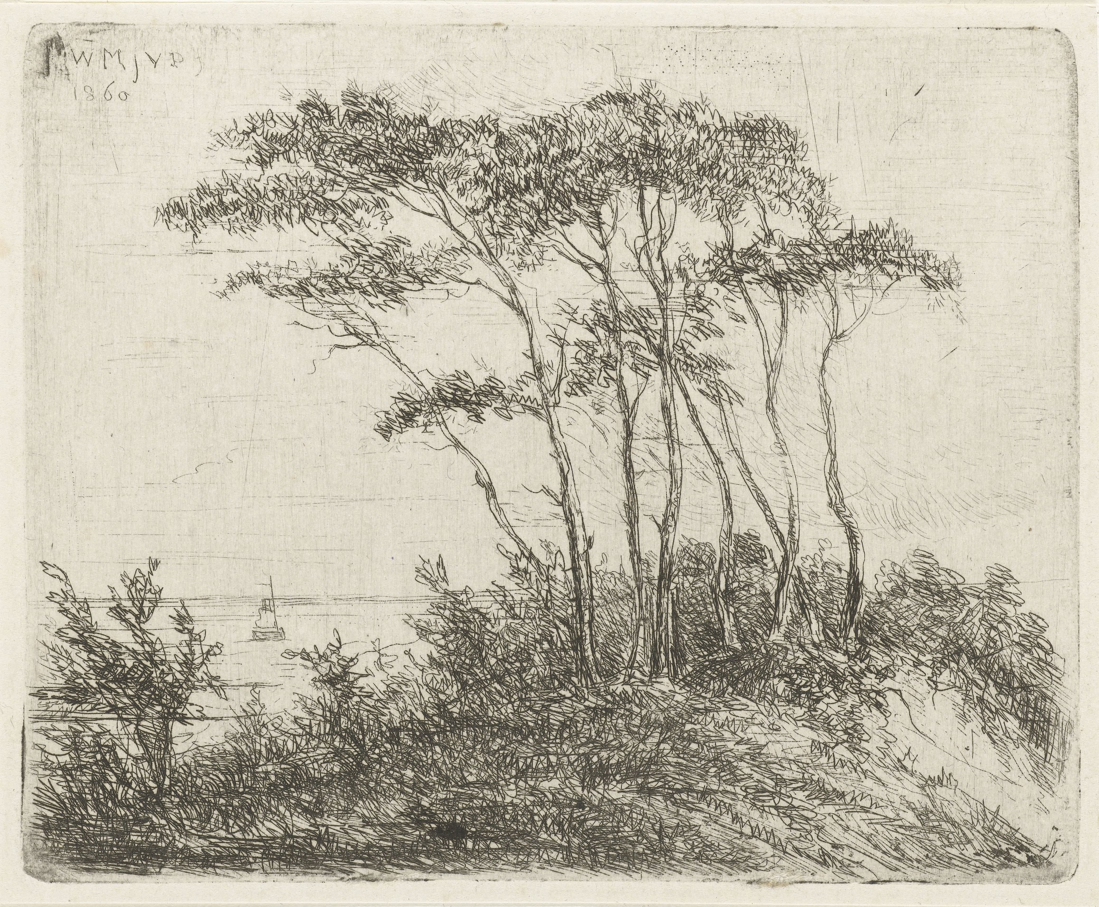 Kustlandschap met groep bomen op duin