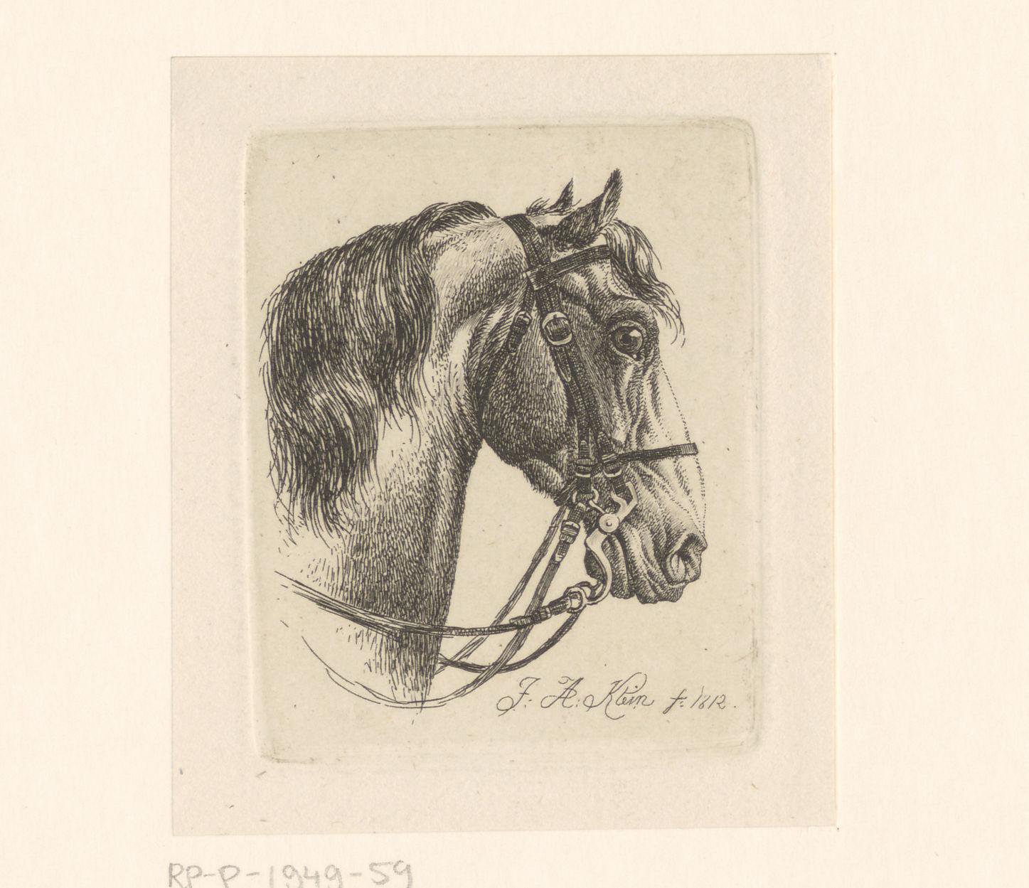 Paardenhoofd met hoofdstel