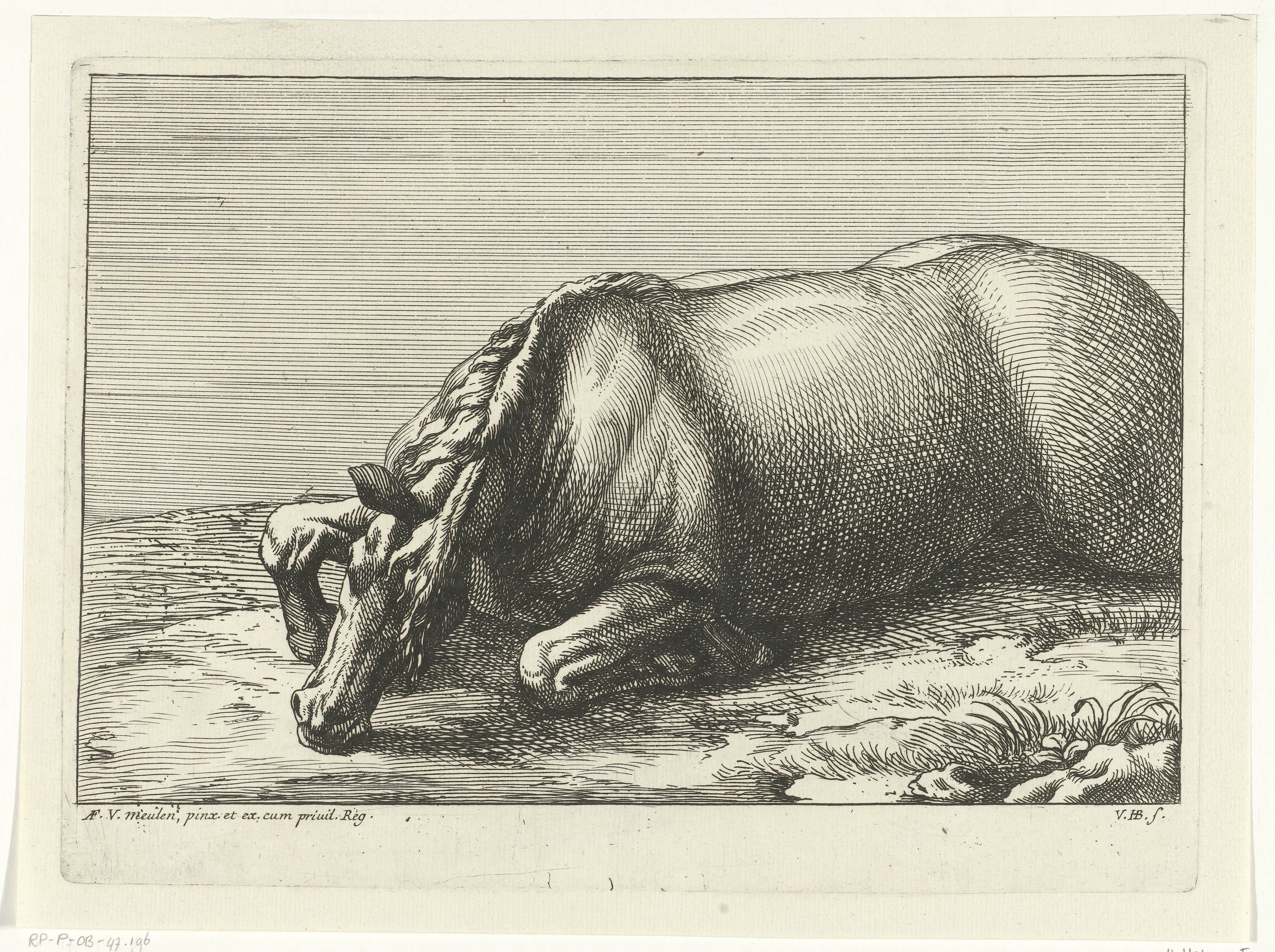 Gesneuveld paard op de linkerzij gezien