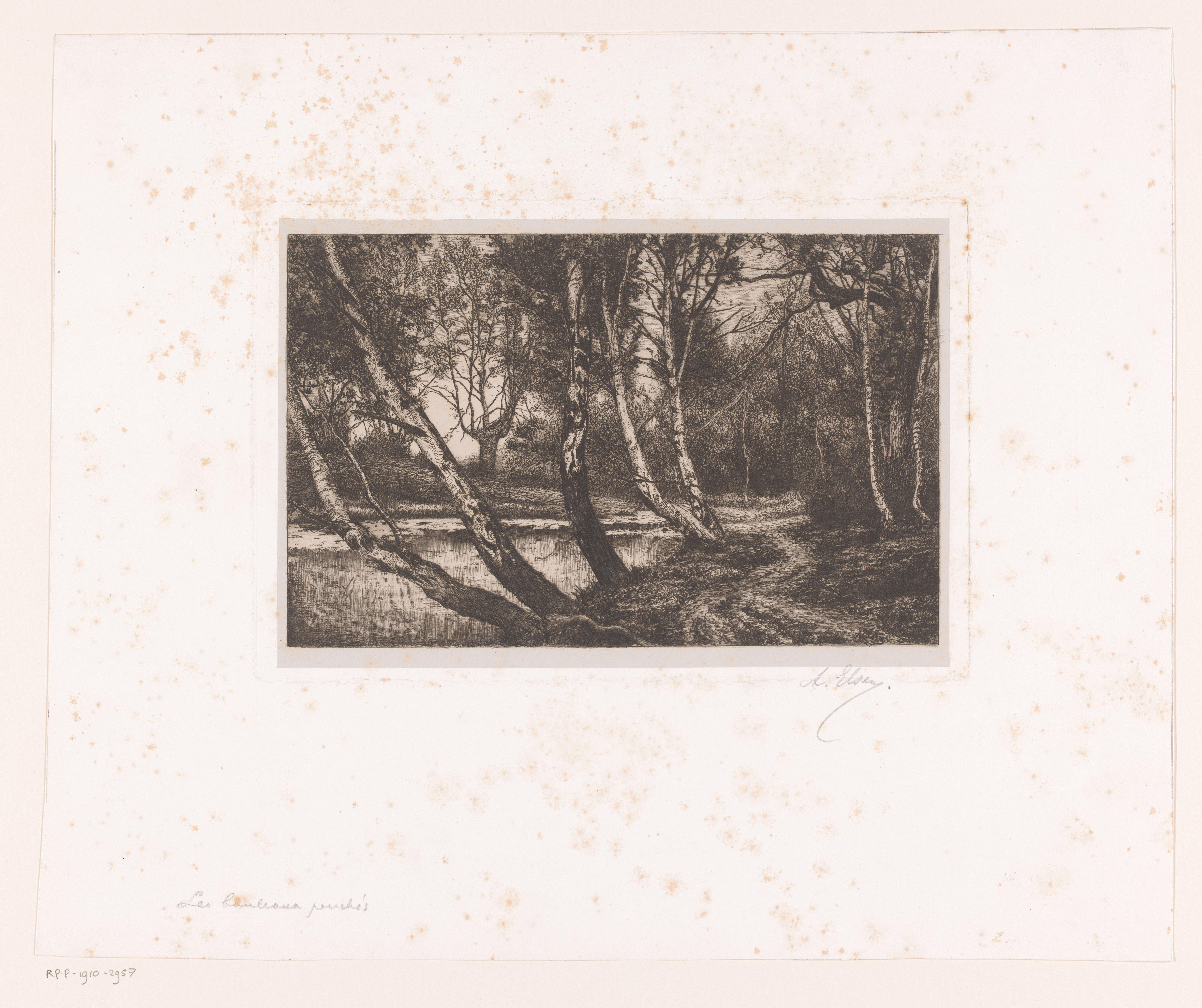 Landschap met berken langs een oever
